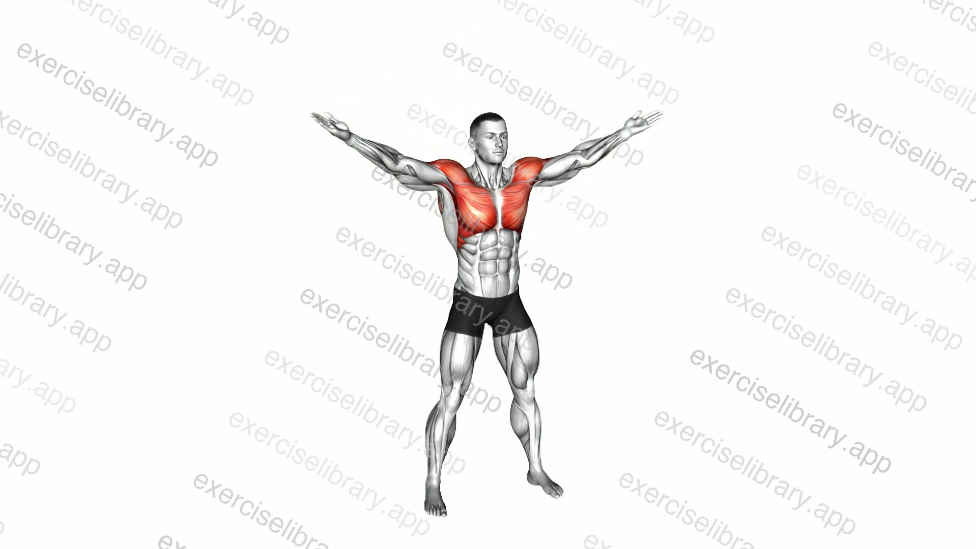 Criss Cross Arms Outer Rotation demonstration