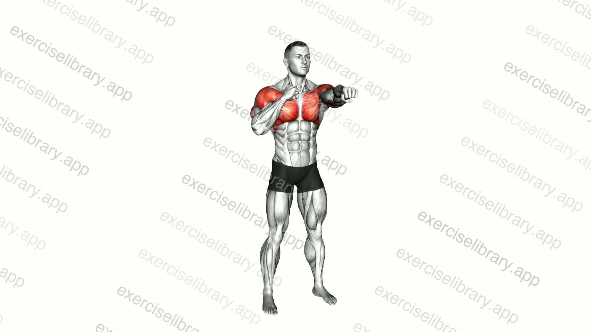 Standing Top to Forward Punches demonstration