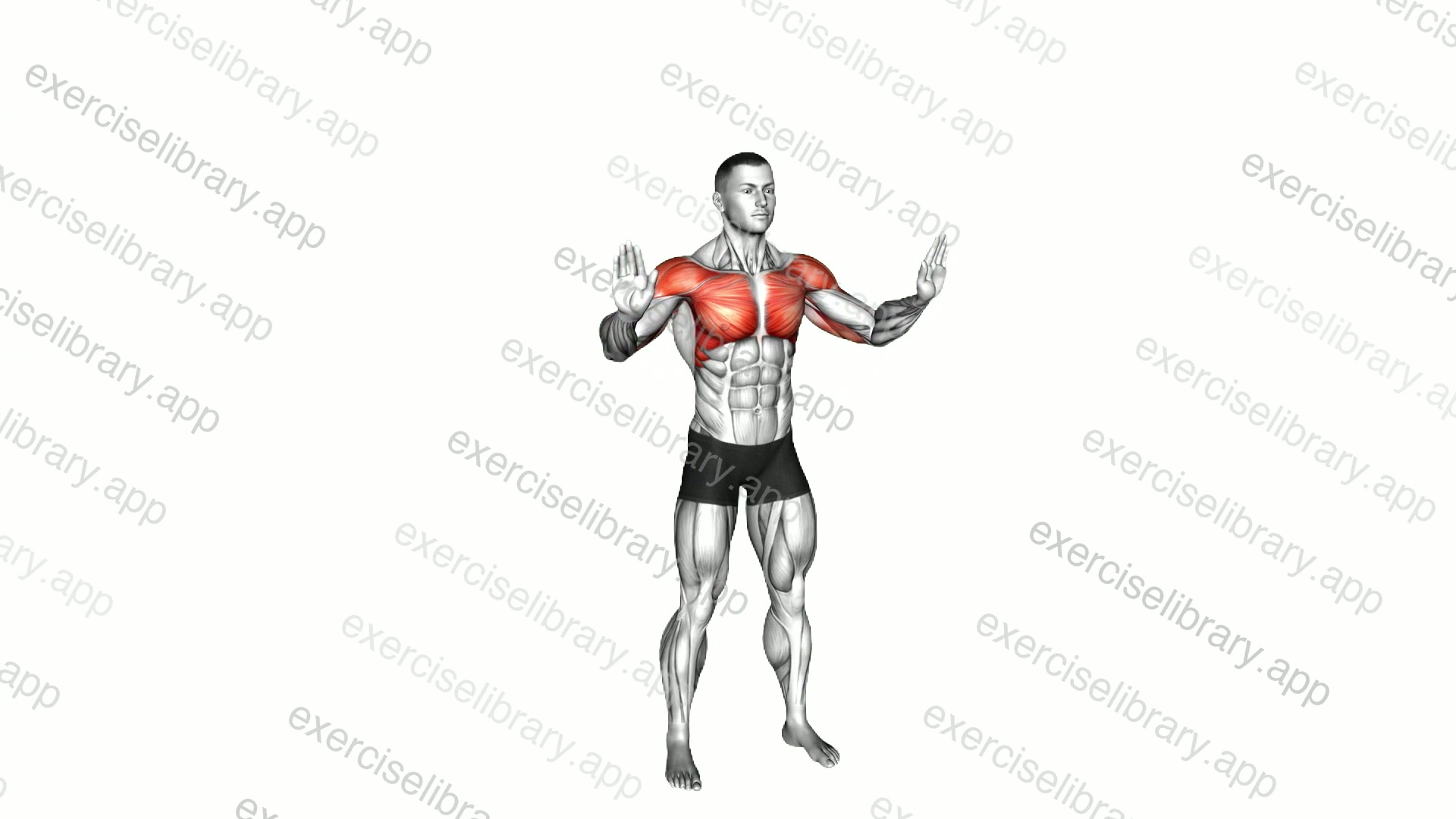 Forward Side Top Presses demonstration
