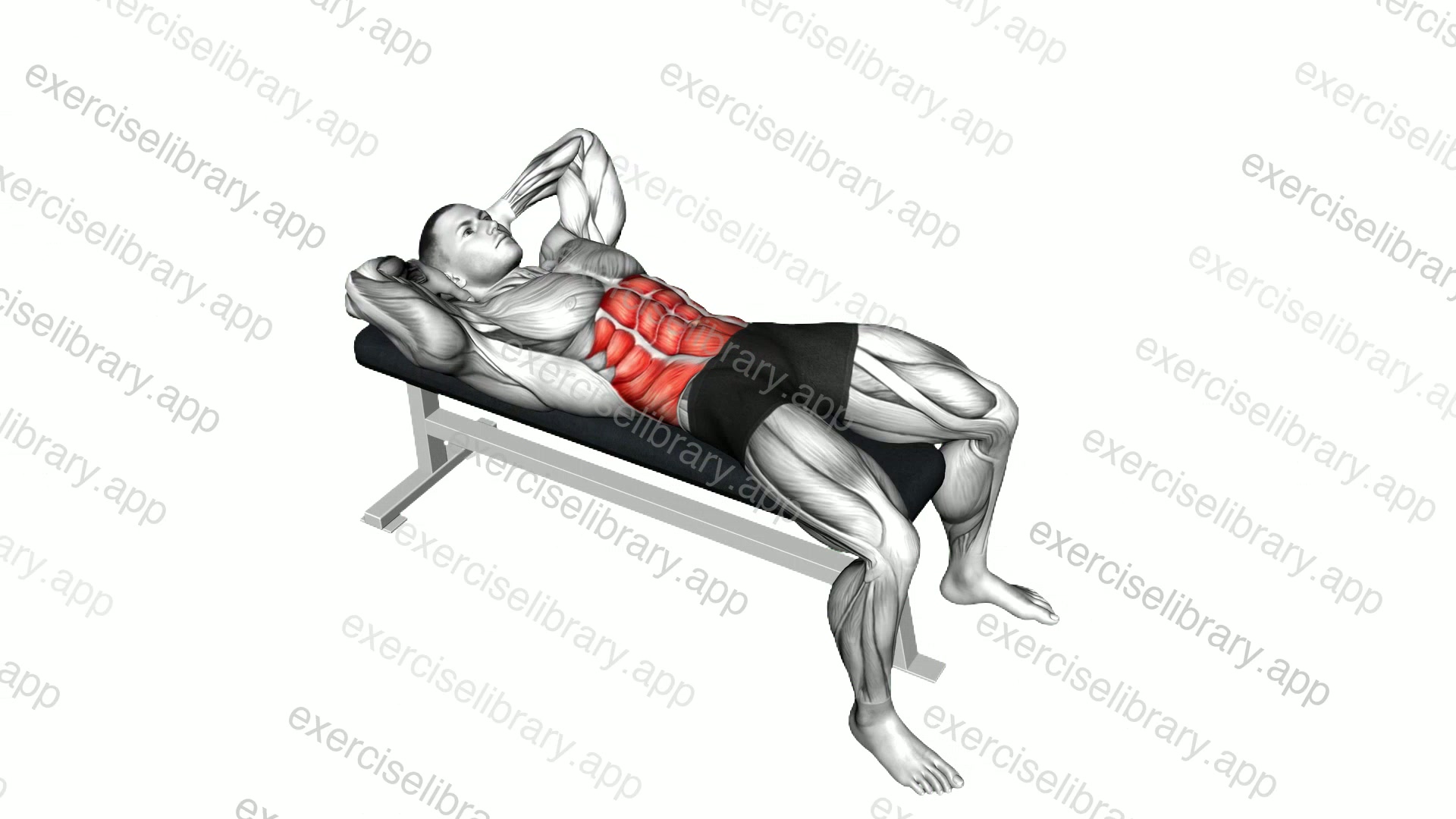 Crunch on a Bench demonstration
