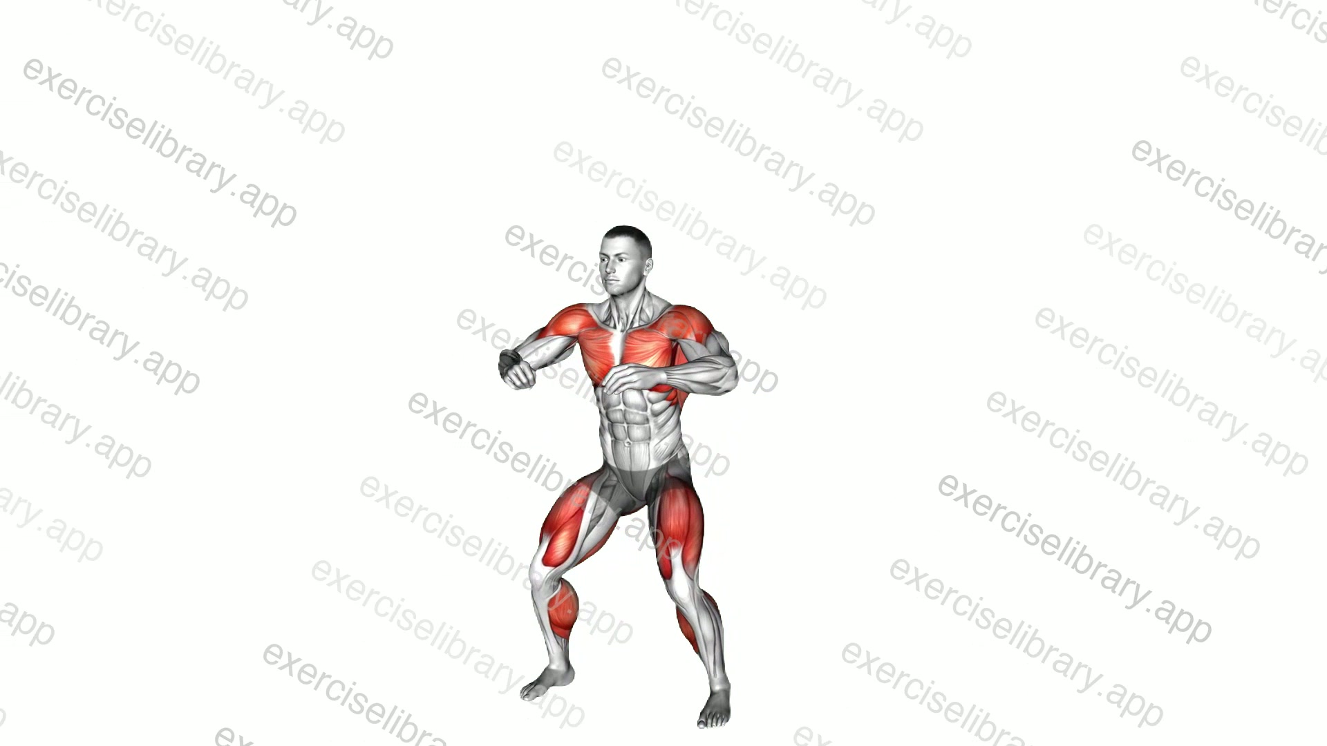 Squat to Jumping Jack demonstration