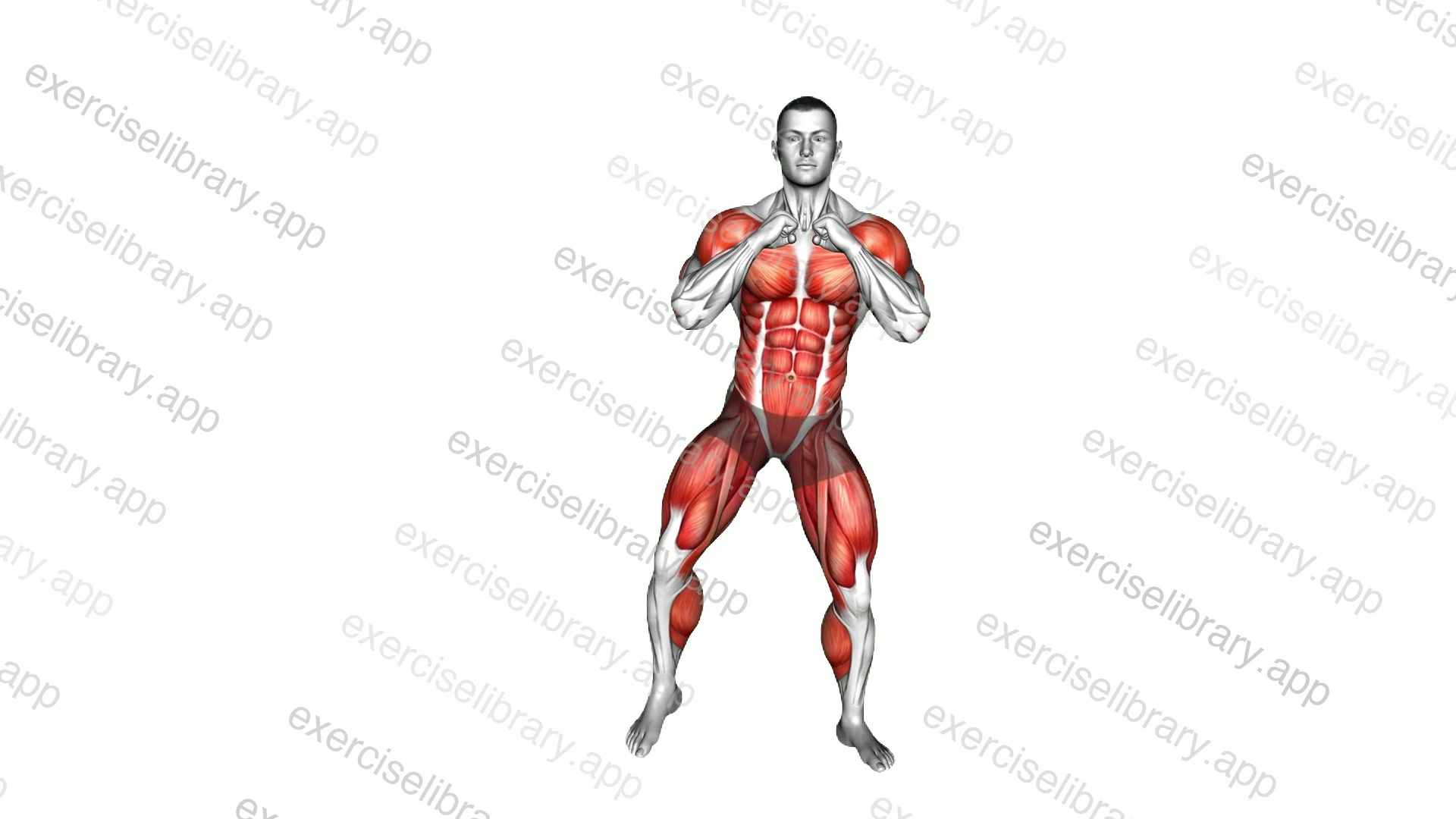 Twist Knee-up Punch demonstration
