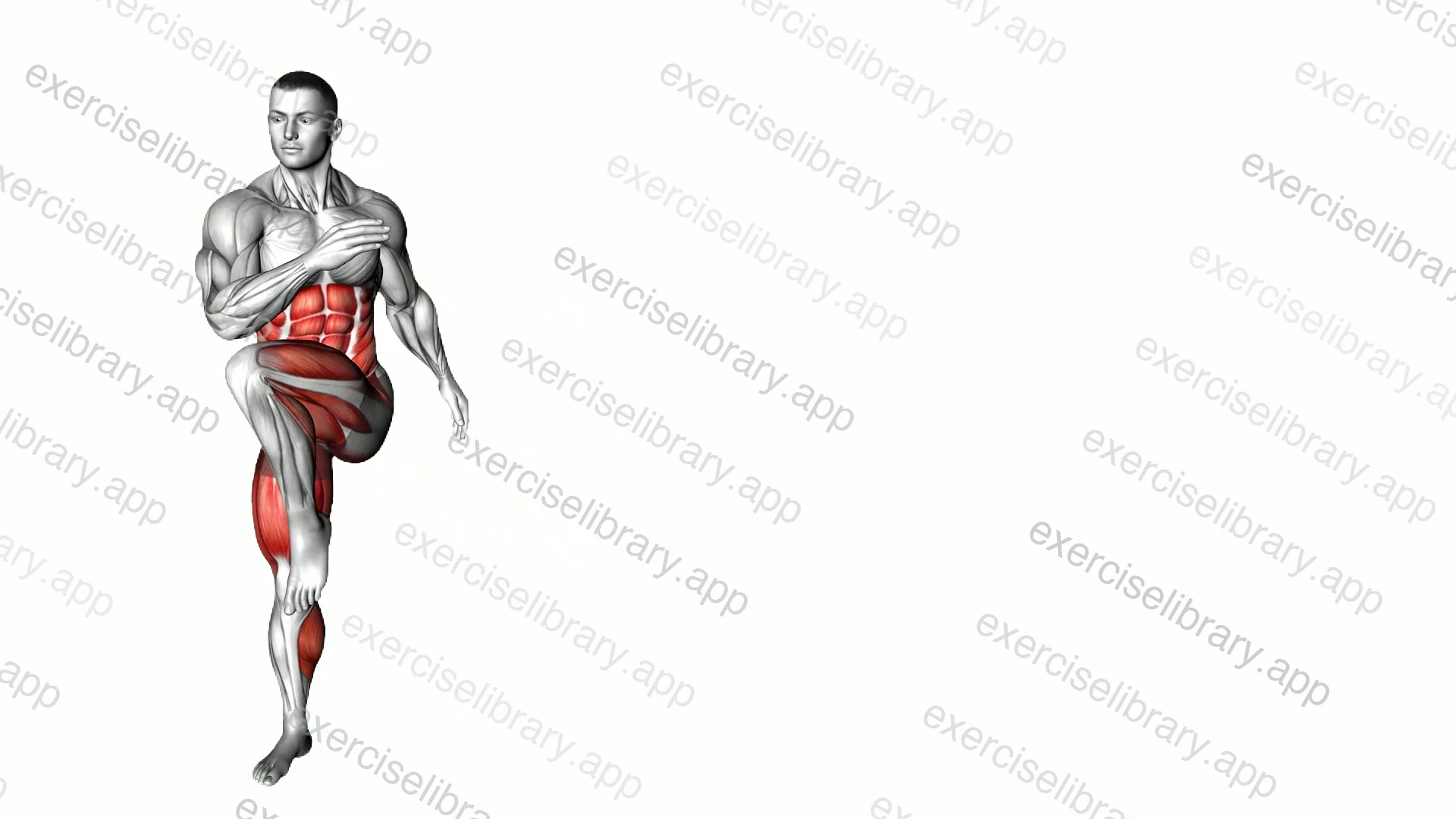 Lateral Shuffle Crunches demonstration