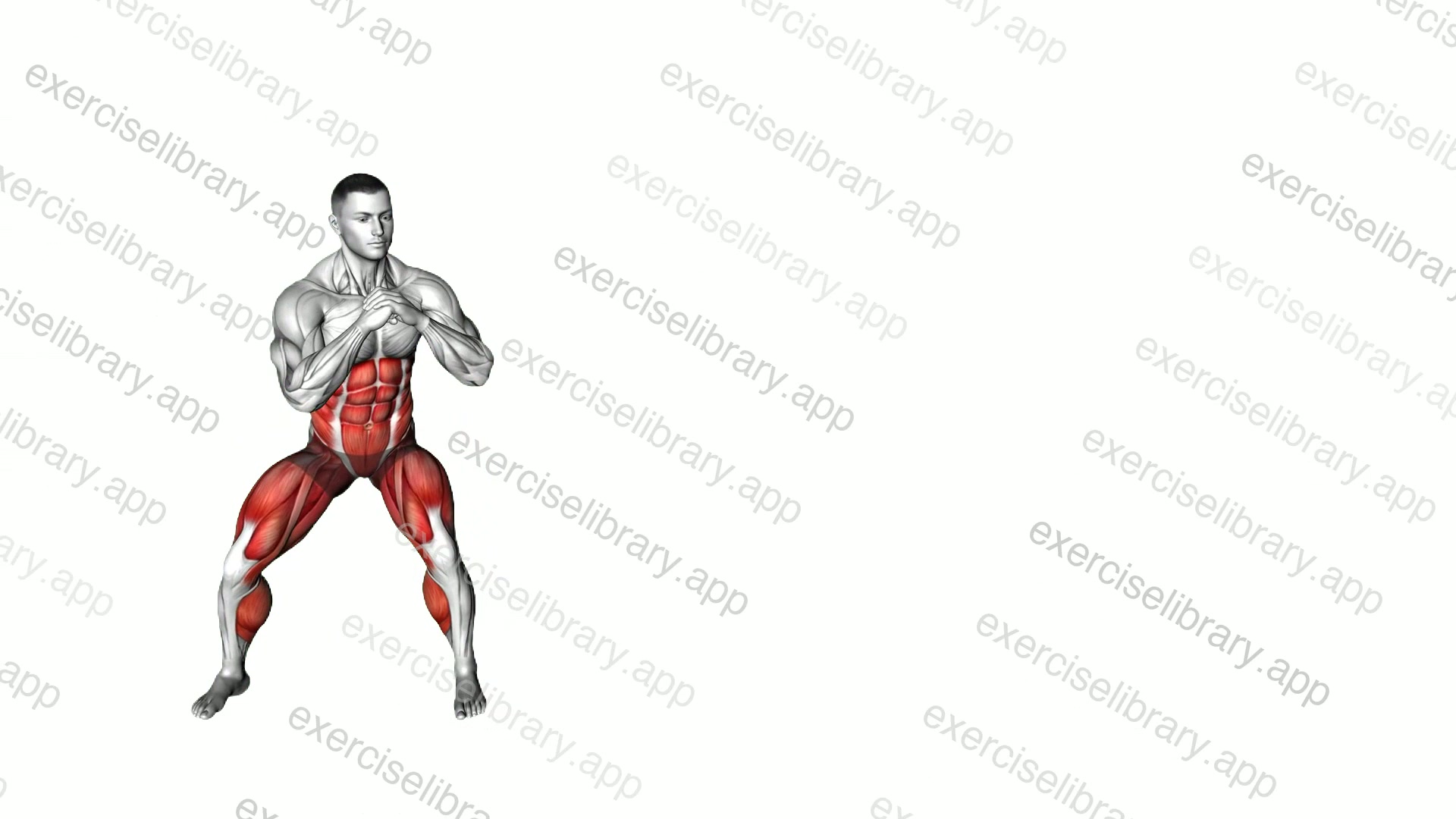 Side Shuffle Obliques Twist demonstration