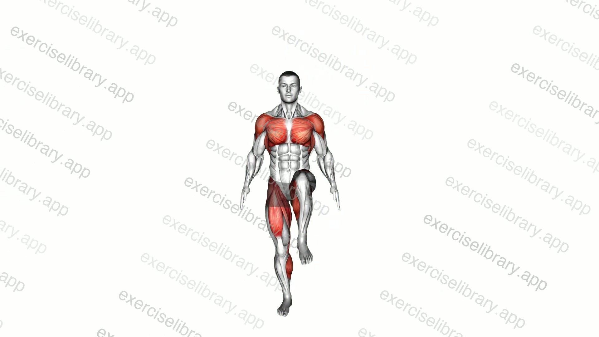 Hopping Knee Drive demonstration