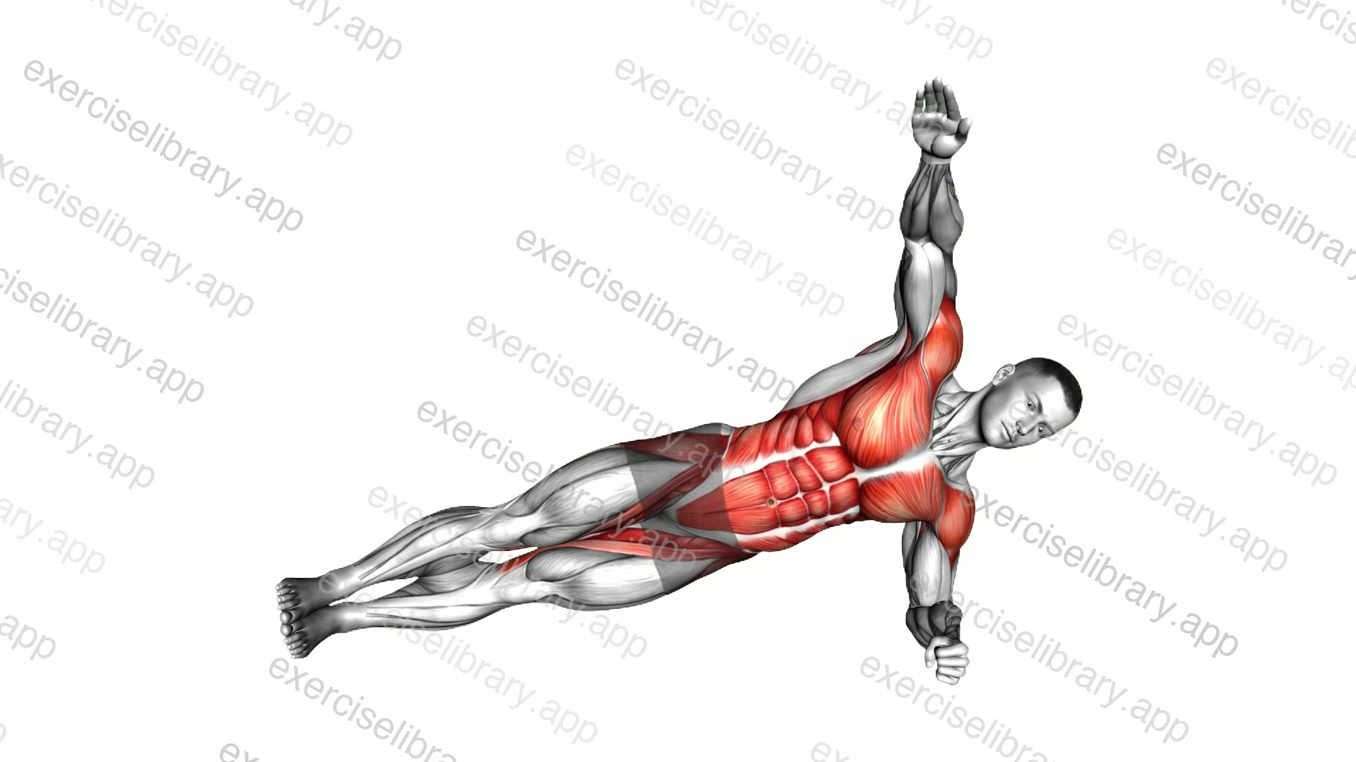 Side Plank Twist Arm Delt Raise demonstration