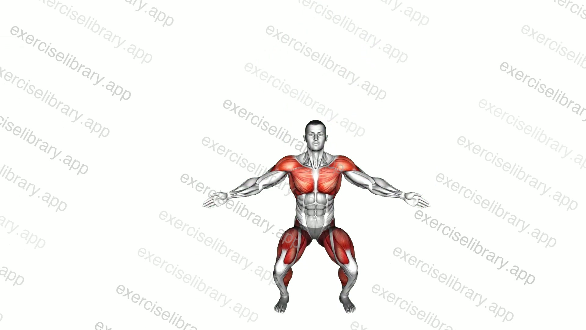 Side Squat Jack demonstration