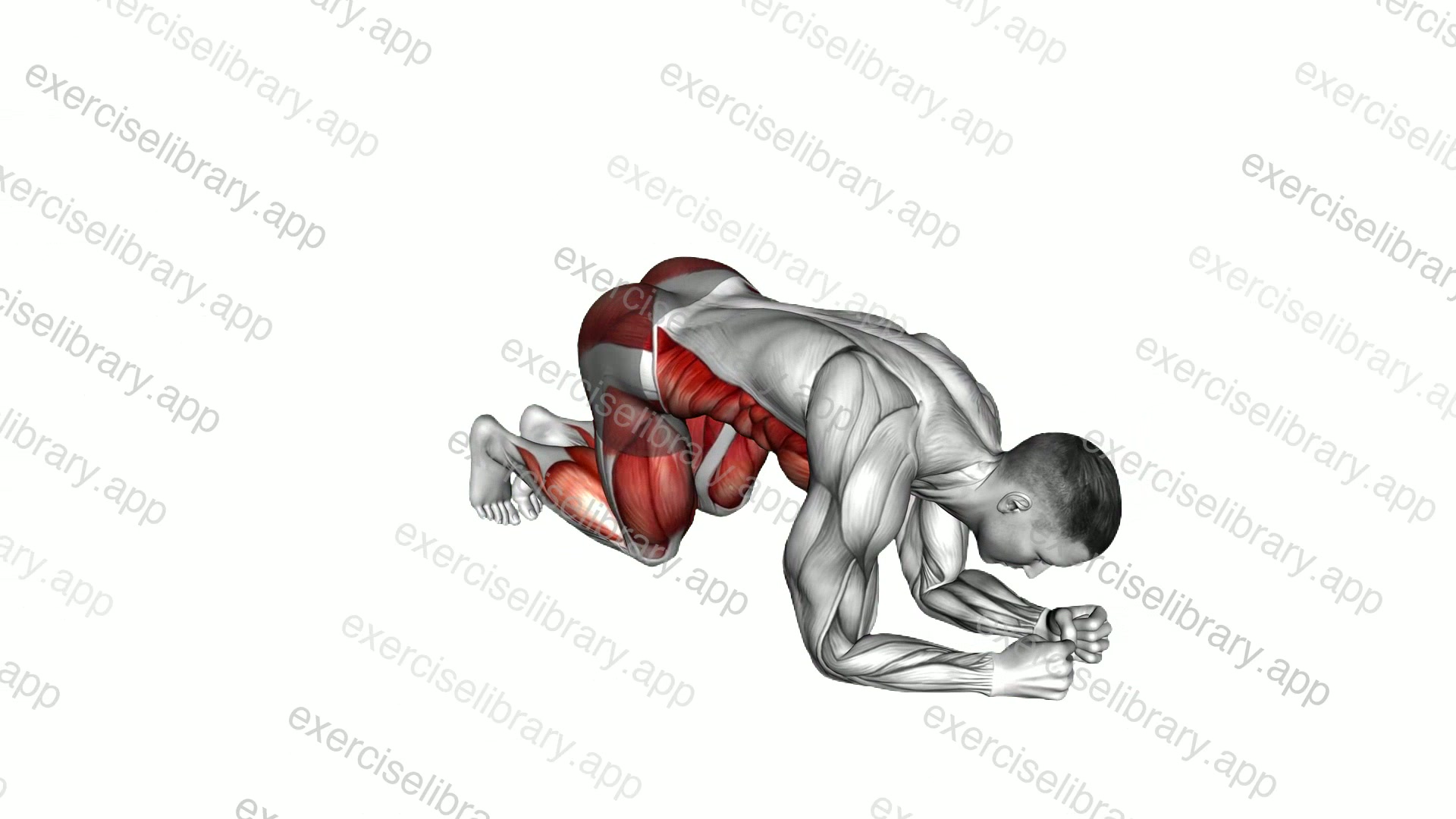 Elbow Plank 3 Point Hops demonstration