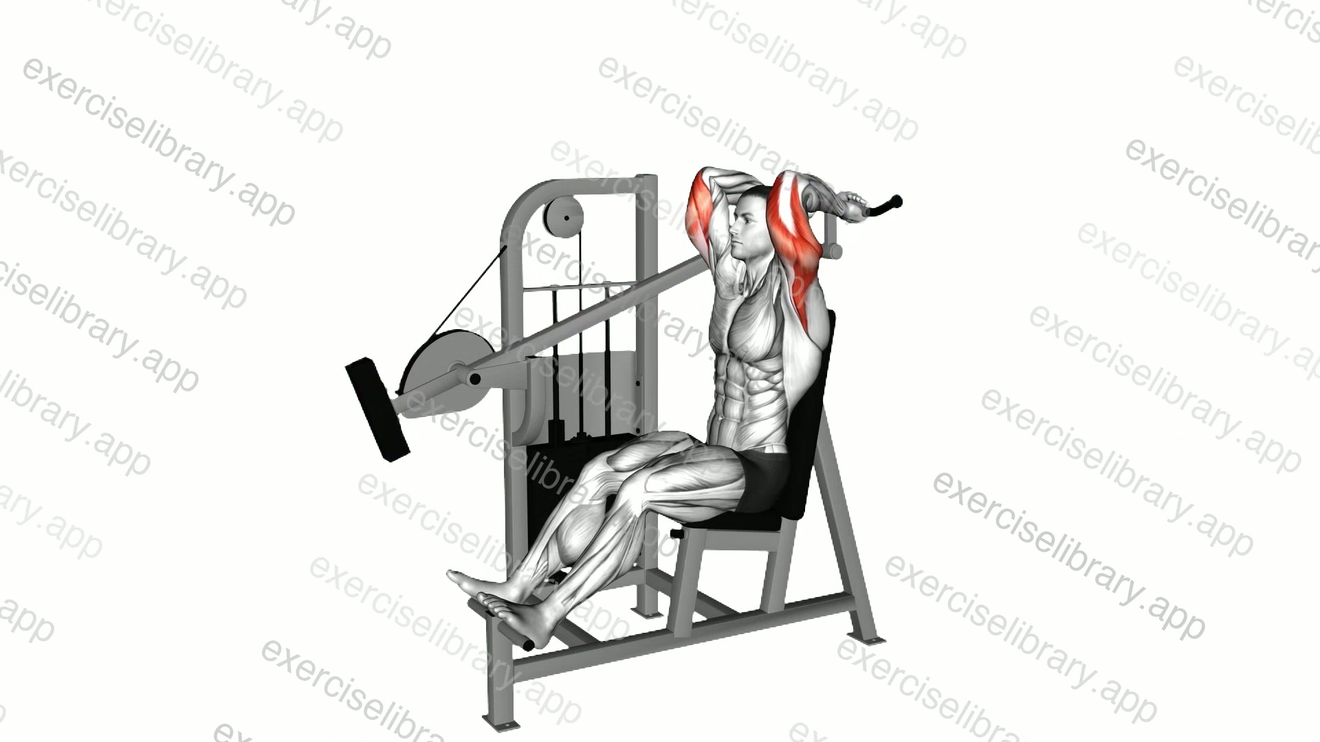 Lever Overhead Triceps Extension demonstration