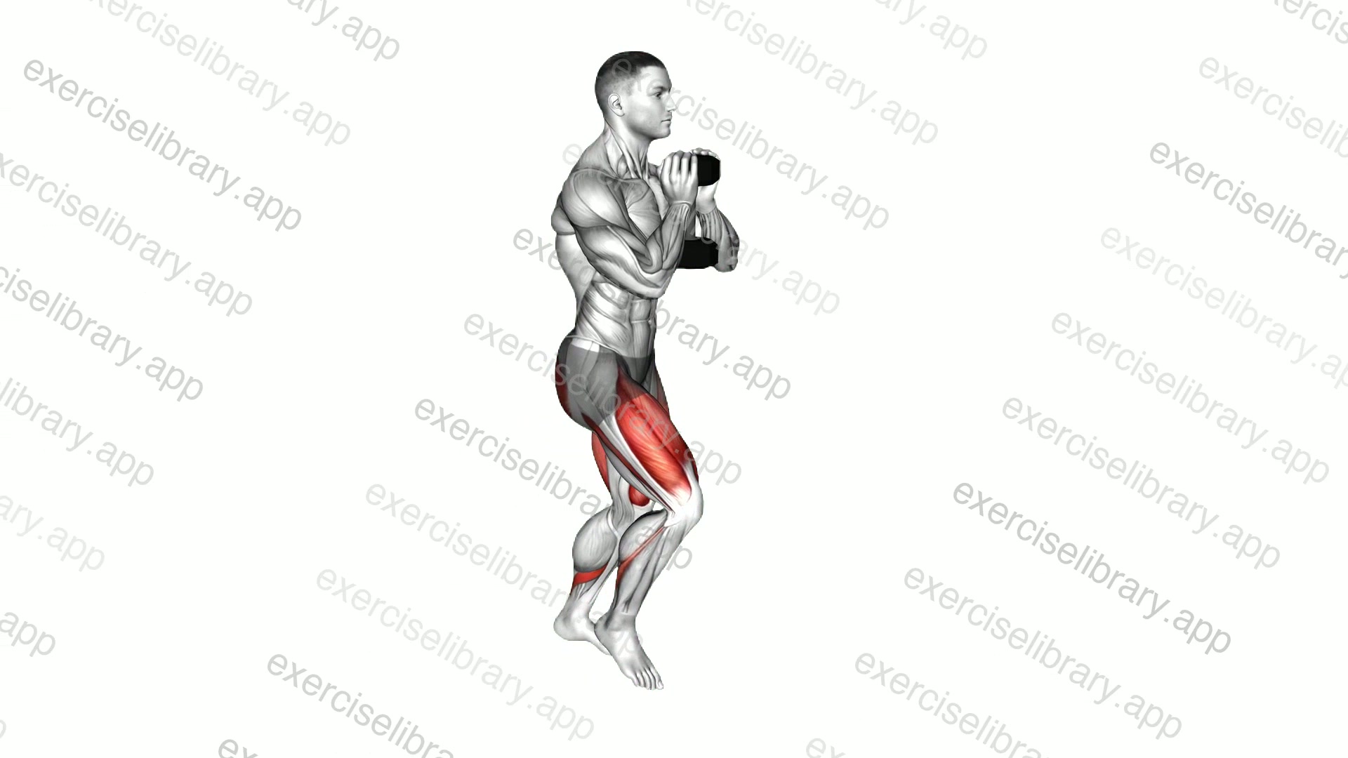 Dumbbell Goblet Lunge demonstration