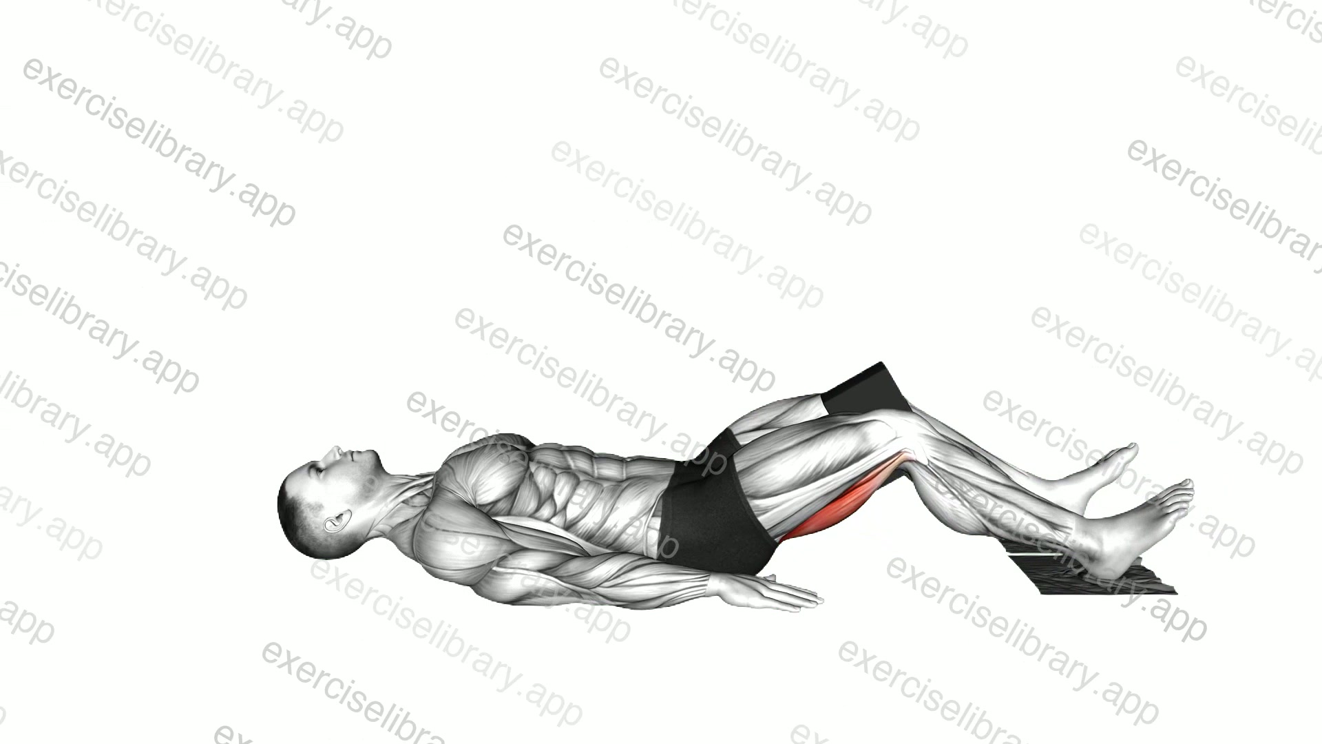 Ring Eccentric Leg Curl with yoga block and towel demonstration