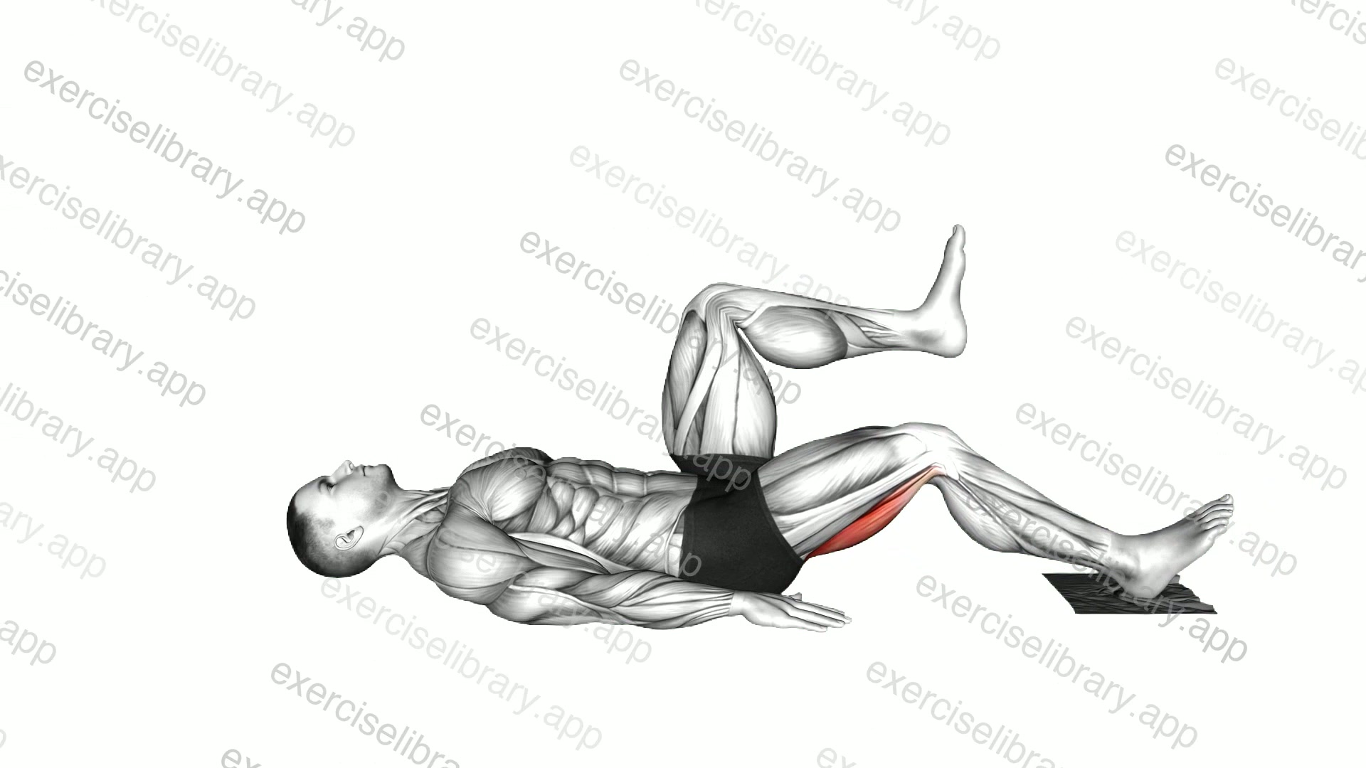 Ring Eccentric Single Leg Curl with towel demonstration