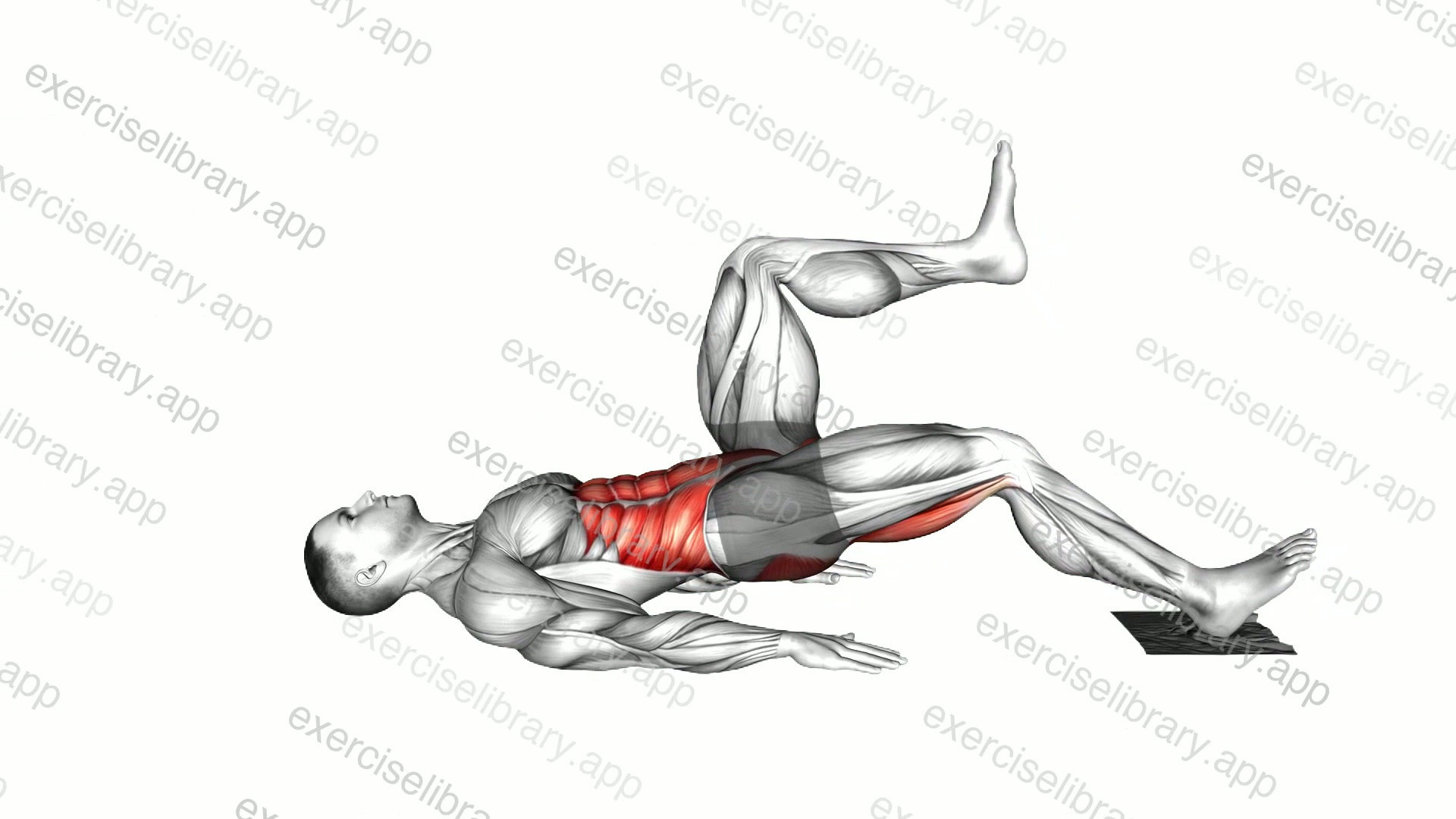 Ring Single Leg Curl with towel demonstration