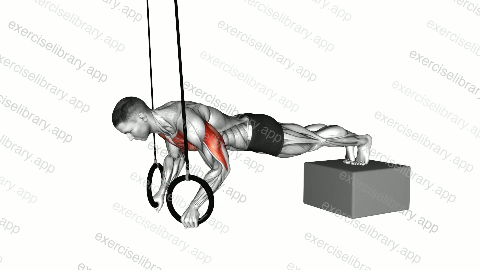 Ring Decline Push-up demonstration