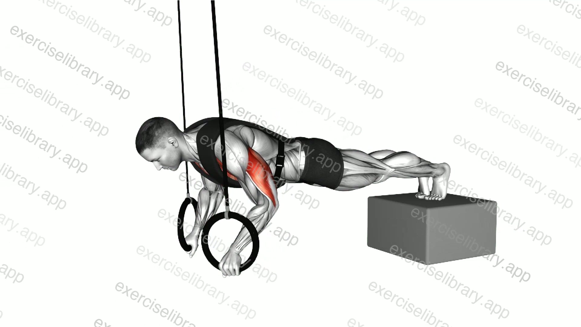 Ring Weighted Vest Decline Push-up demonstration