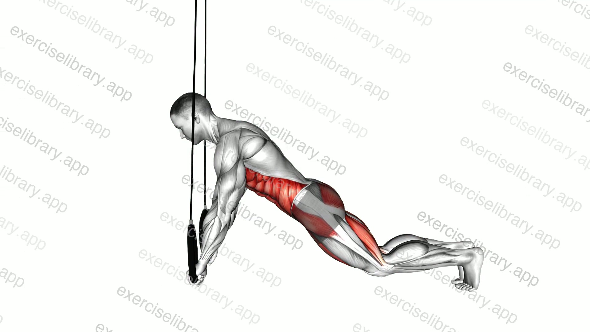 Ring Plank demonstration