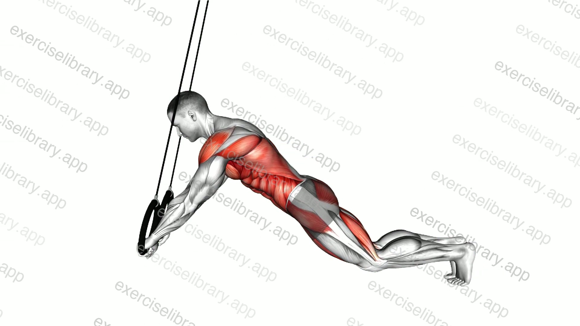 Ring Extended Plank demonstration