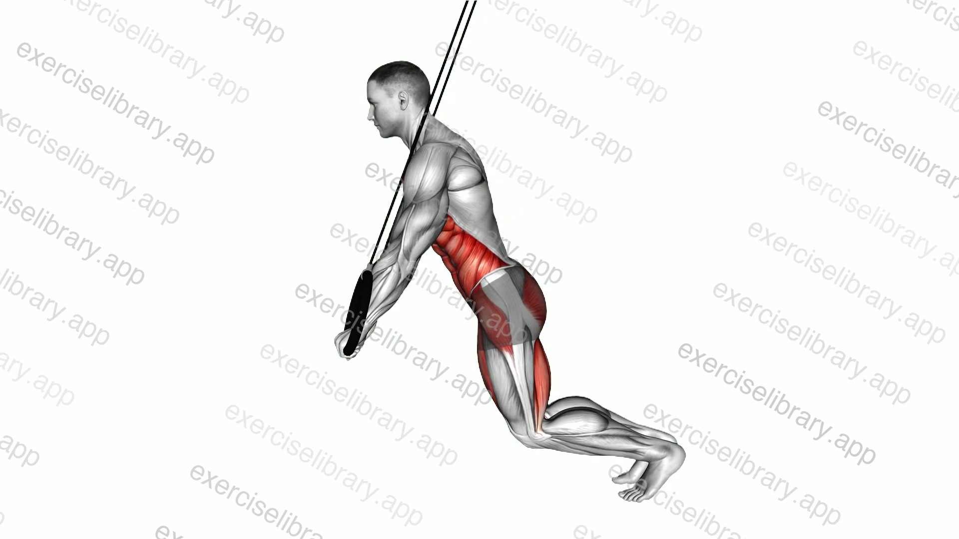 Ring Incline Plank demonstration