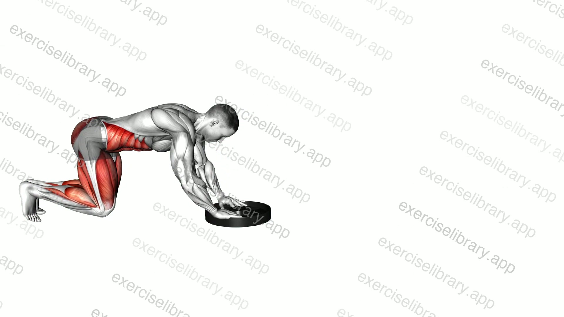 Plate Push demonstration