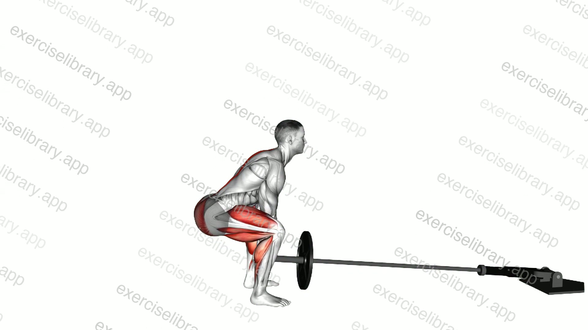 Landmine Deadlift demonstration