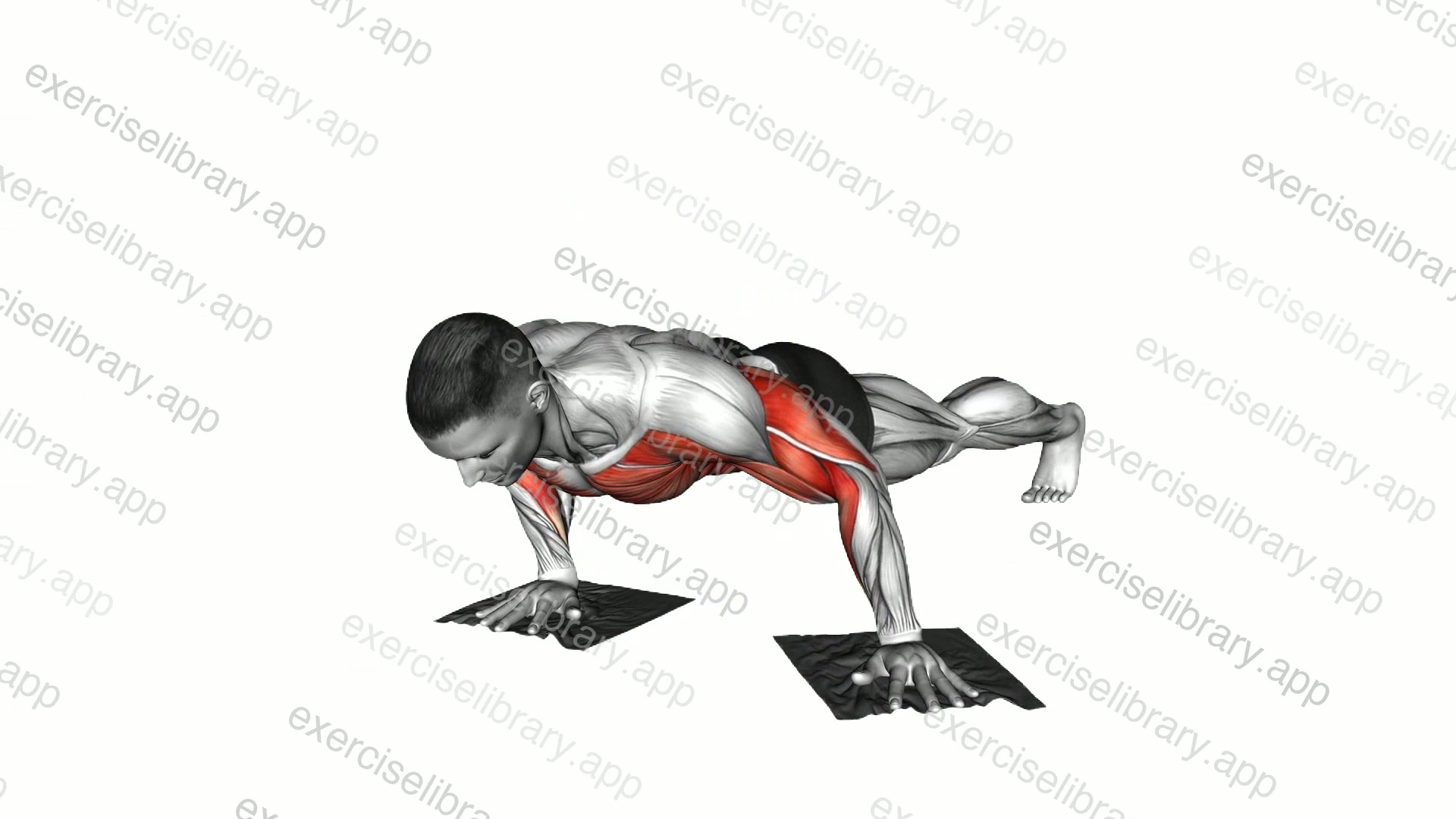 Lever Push-up with Towels demonstration