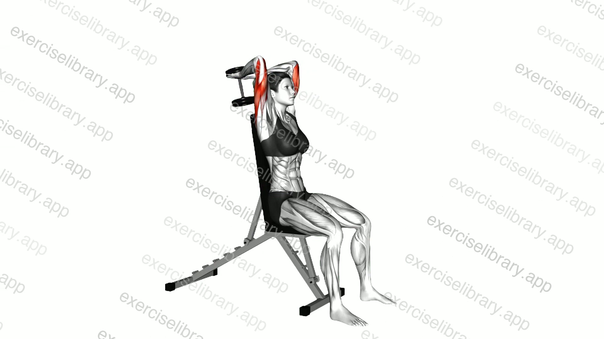 Dumbbell Seated Triceps Extension demonstration