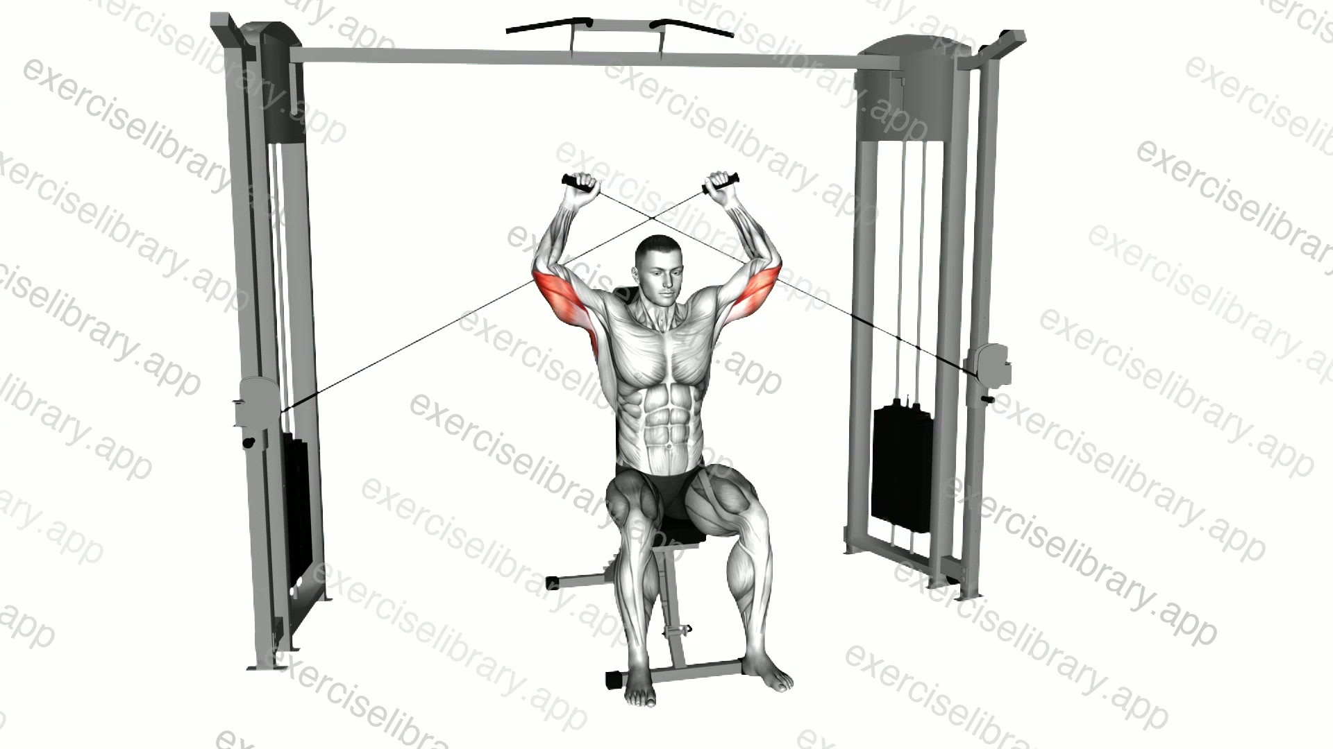 Cable Seated High Triceps Extension demonstration
