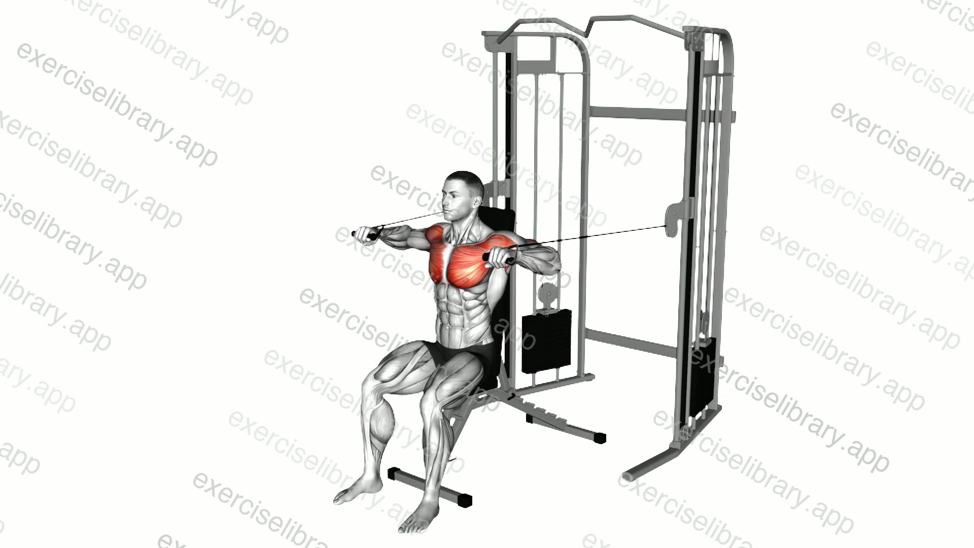 Cable Seated Chest Press demonstration