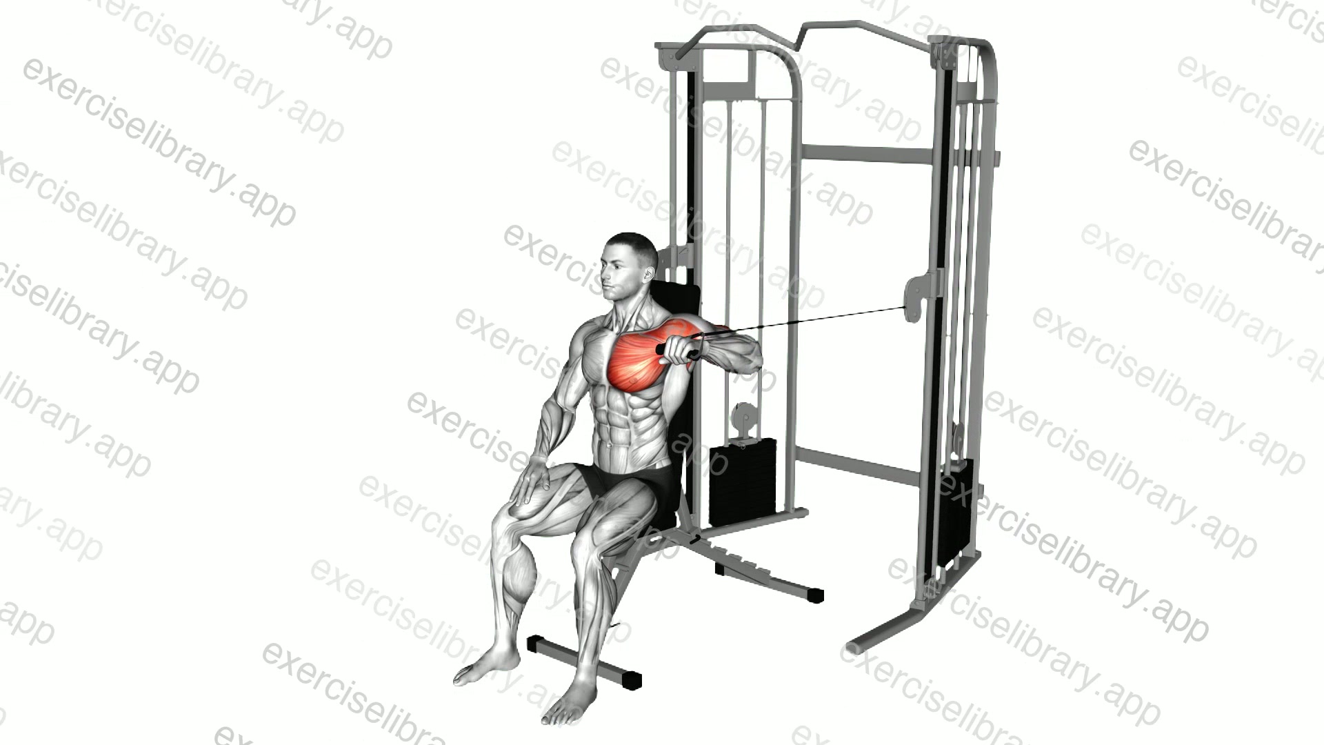 Cable Seated Single Arm Chest Press demonstration