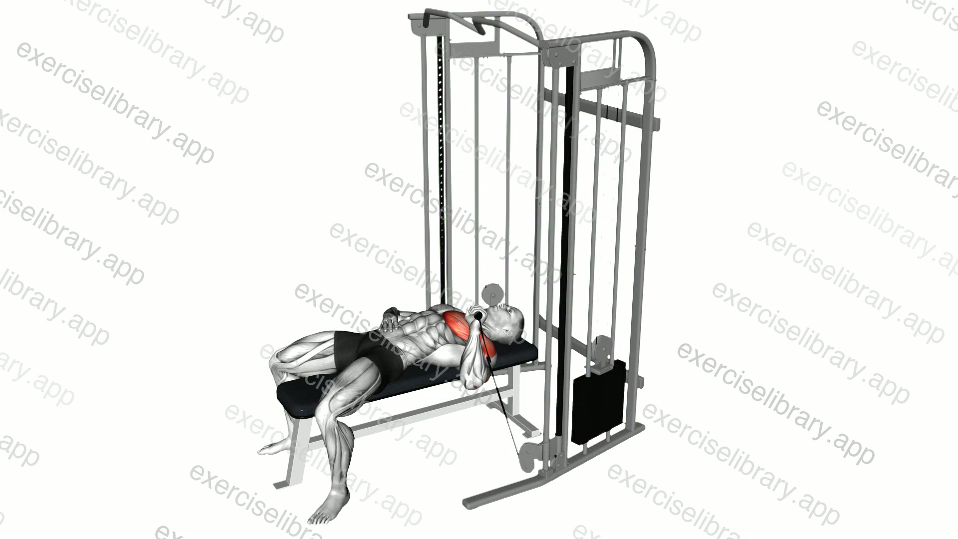 Cable Single Arm Bench Press demonstration