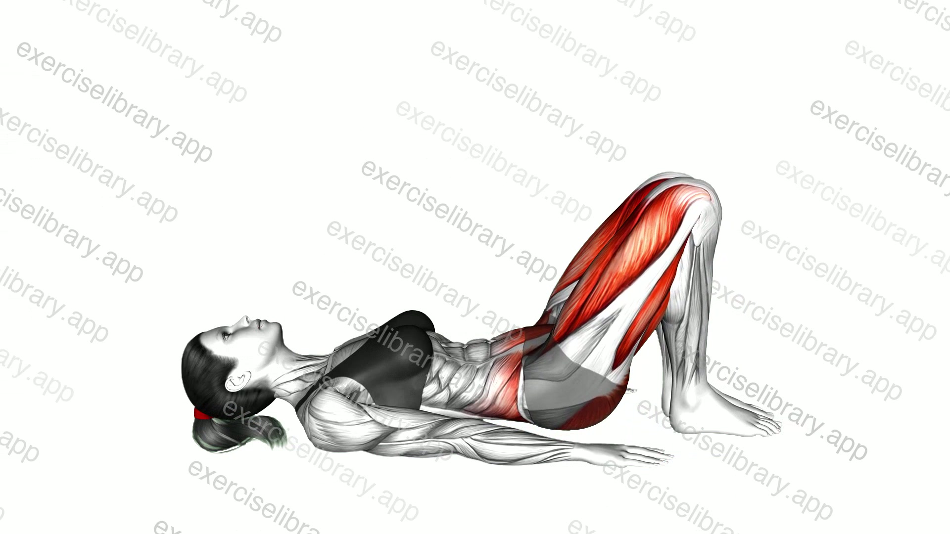 Bridge Pose demonstration