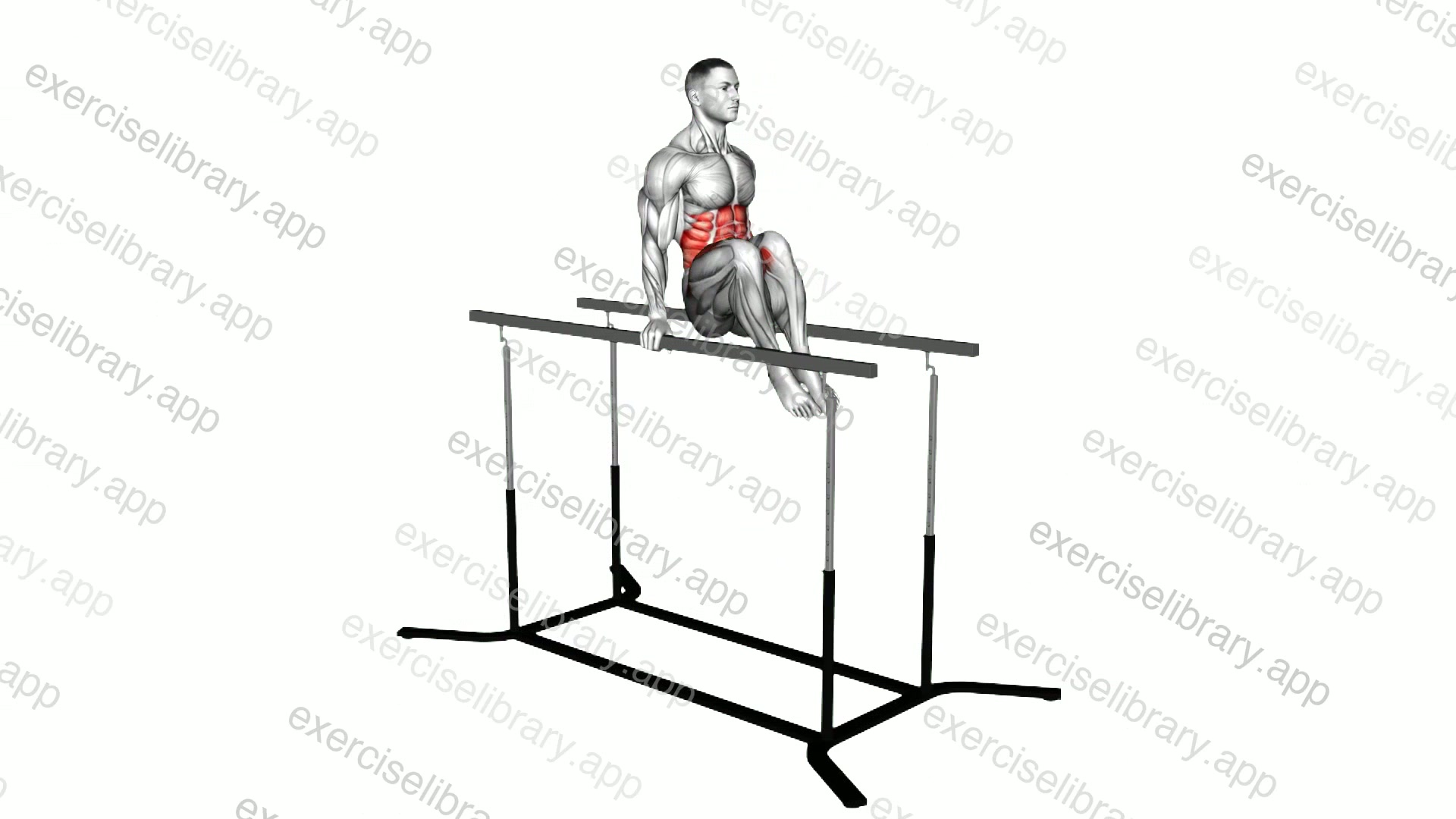 Hanging Oblique Knee Raise on Parallel Bars demonstration