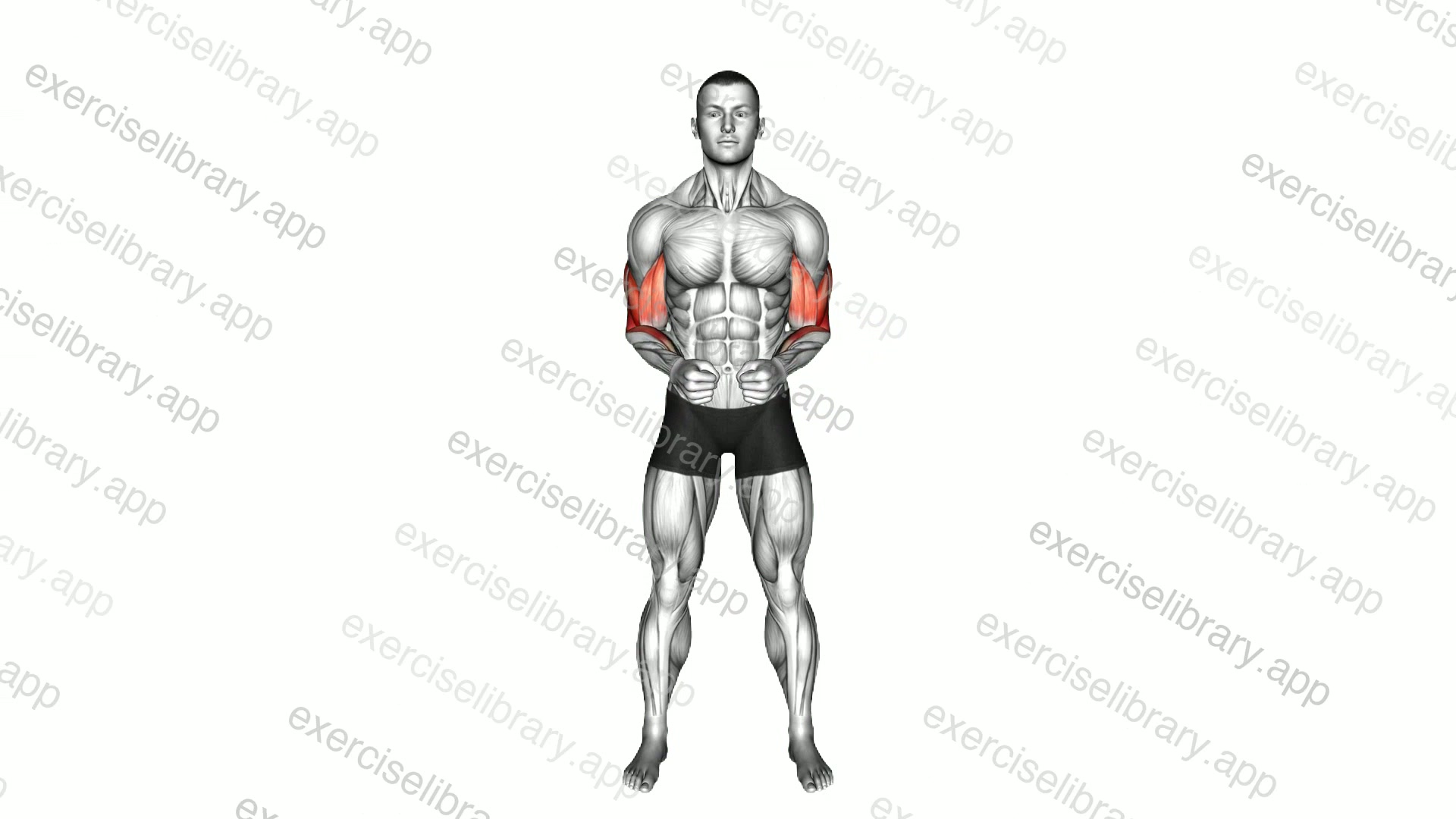 Standing Elbow Circle demonstration