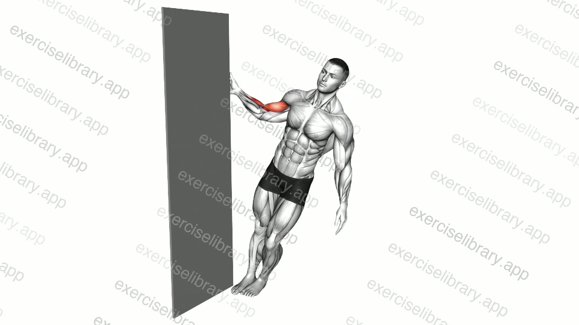Standing Biceps Curl Door Frame demonstration