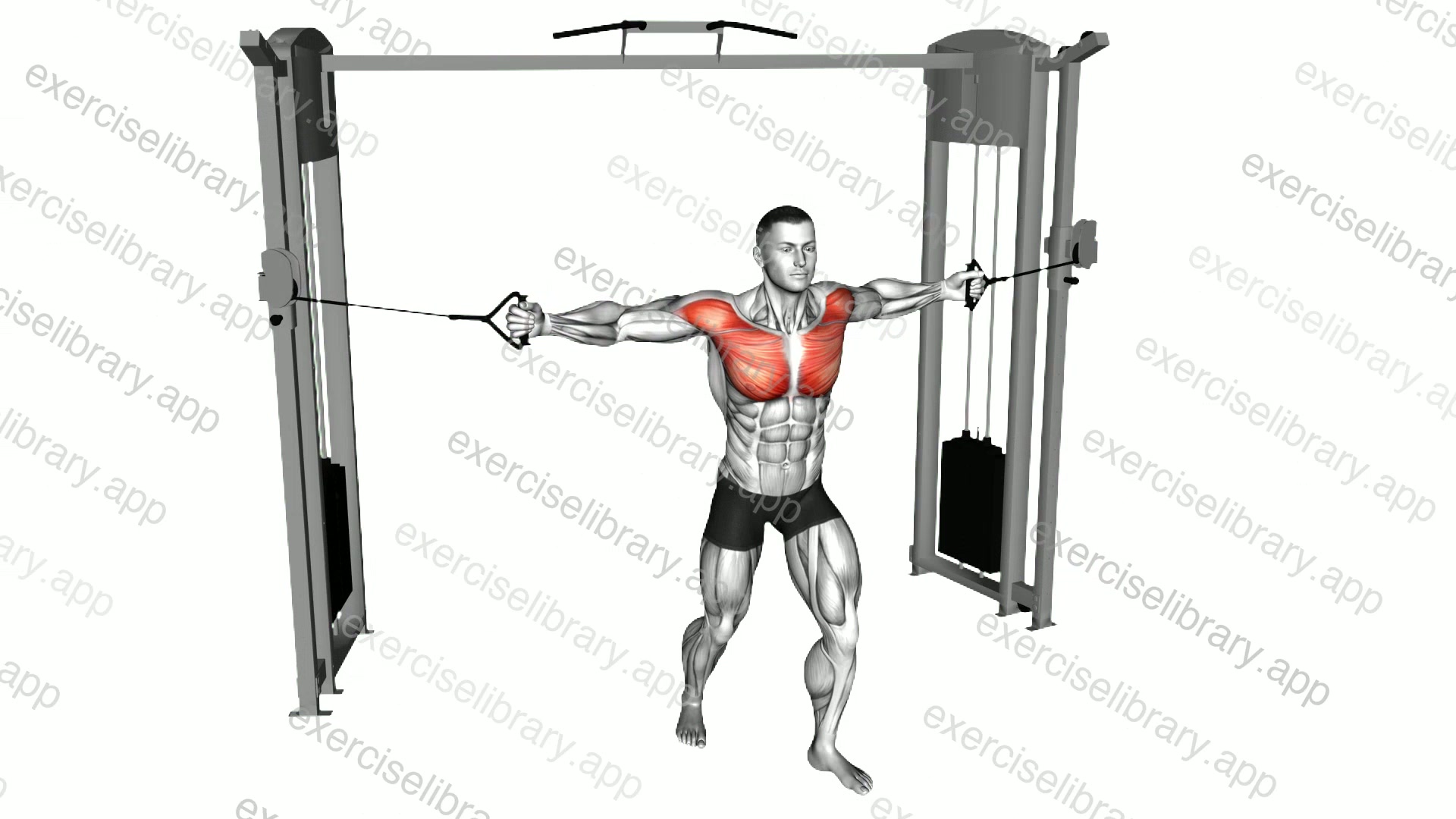 Cable Standing Alternate Chest Fly demonstration