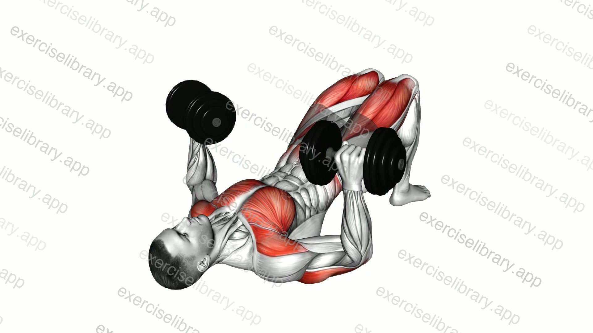 Dumbbell Glute Bridge Chest Press demonstration