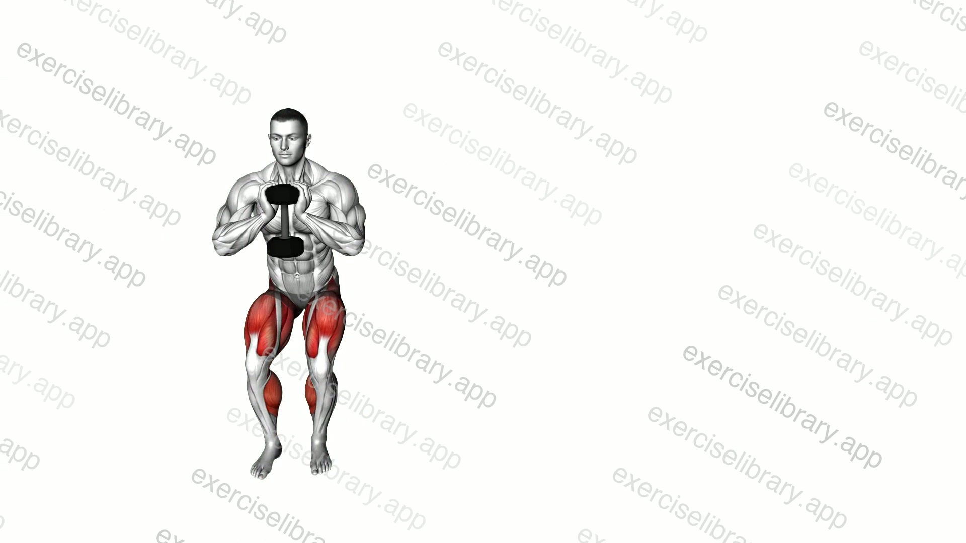 Dumbbell Goblet Squat Side Shuffle demonstration