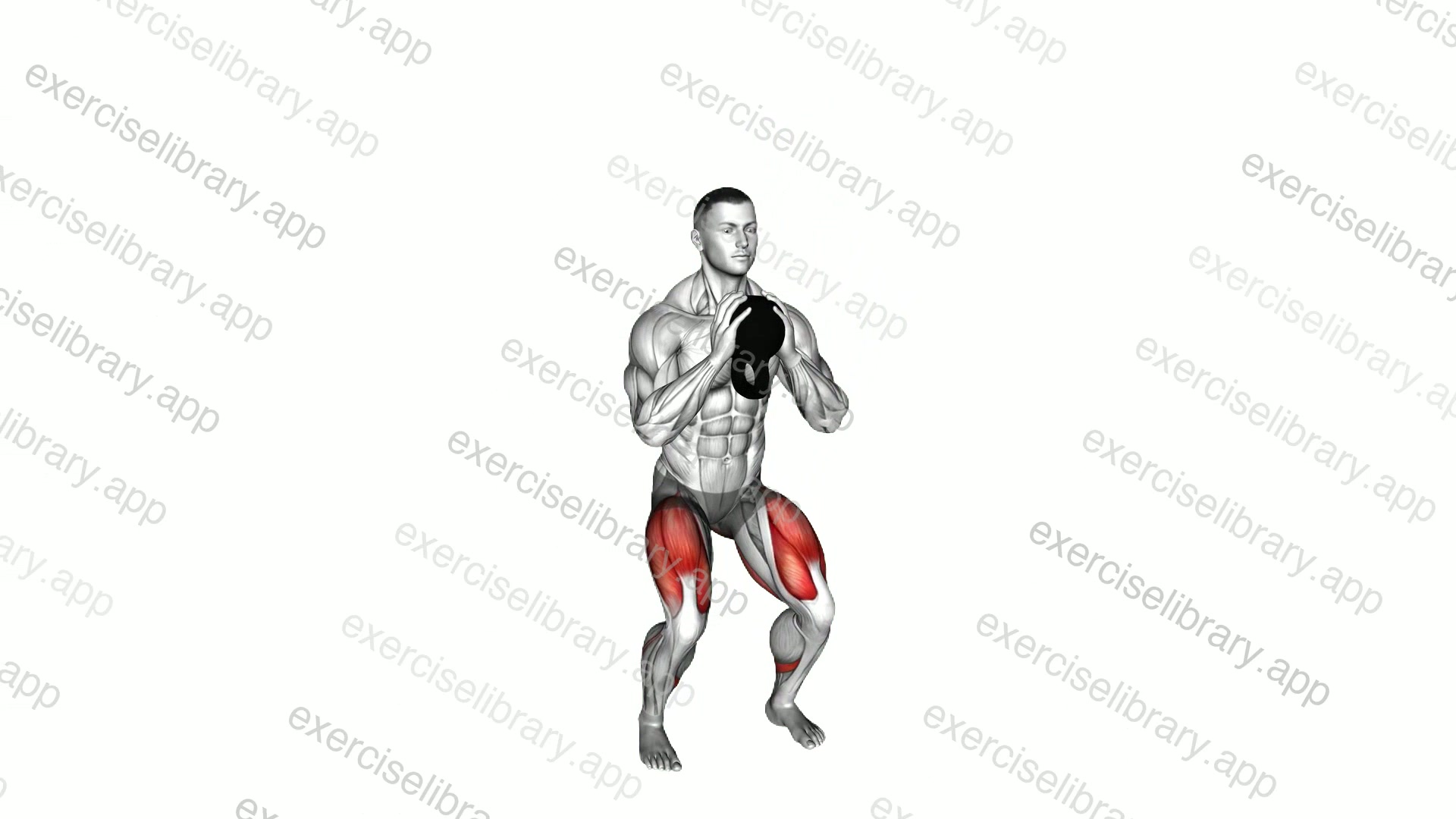 Kettlebell Goblet Pulse Squat demonstration
