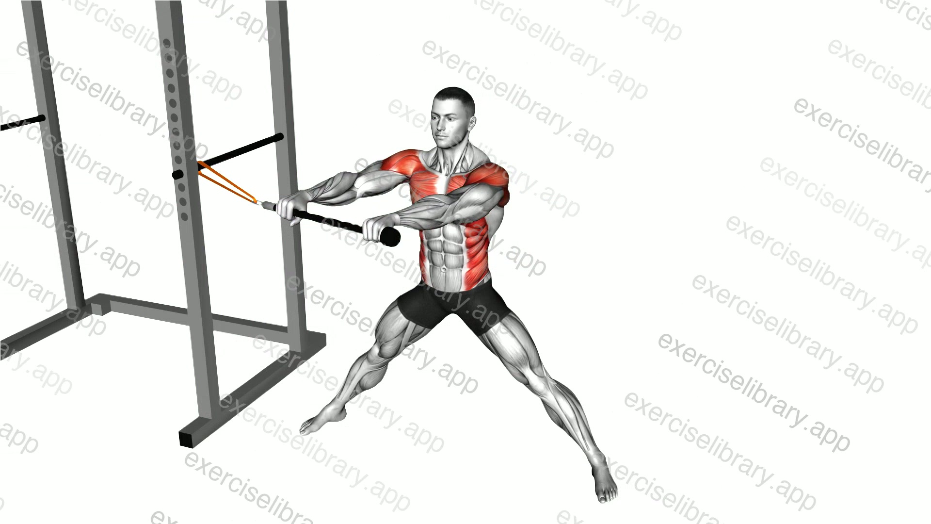 Resistance Band Wide Stance Anti Rotation Chop demonstration