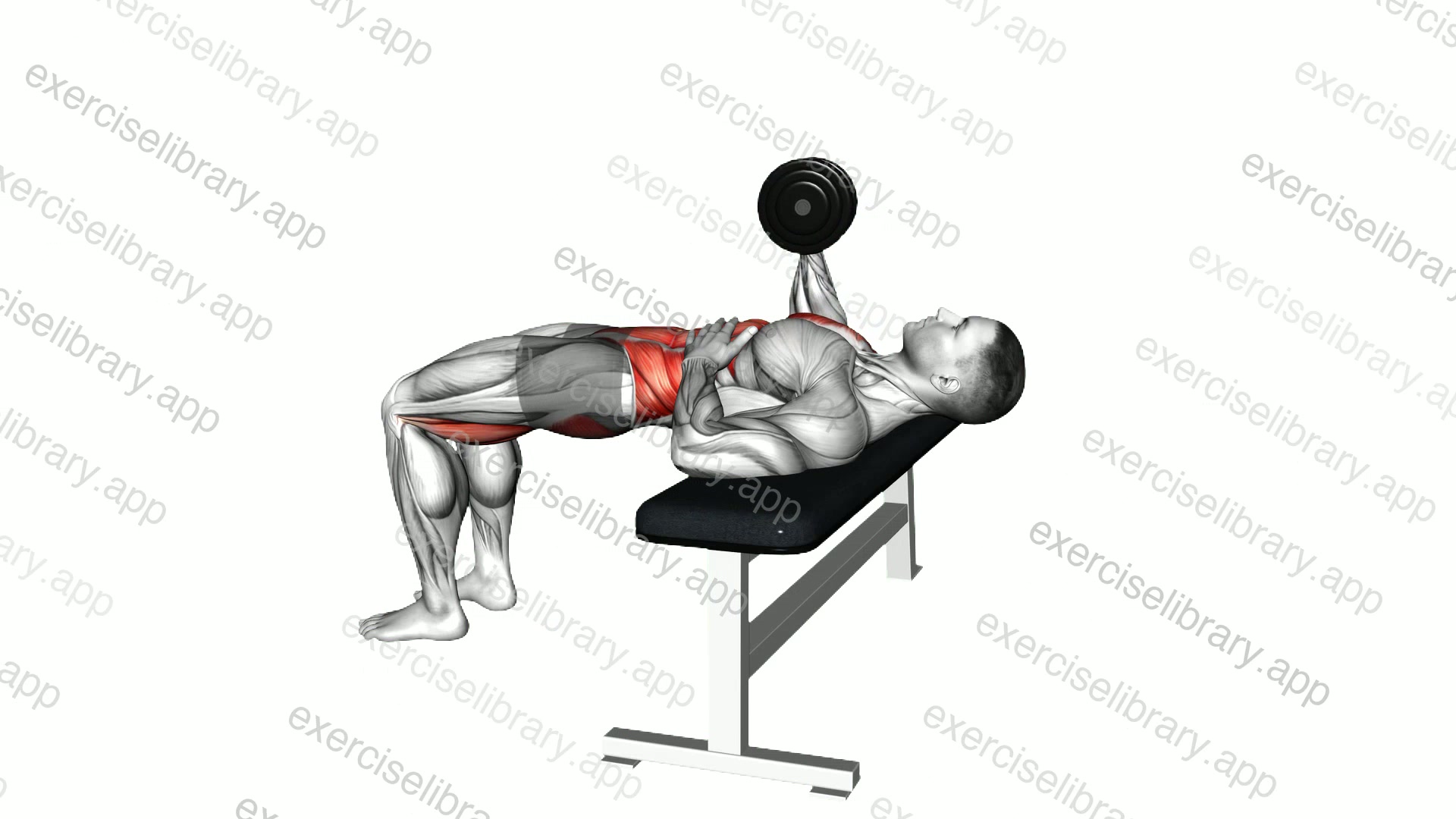 Dumbbell 3 Point Bench Press demonstration