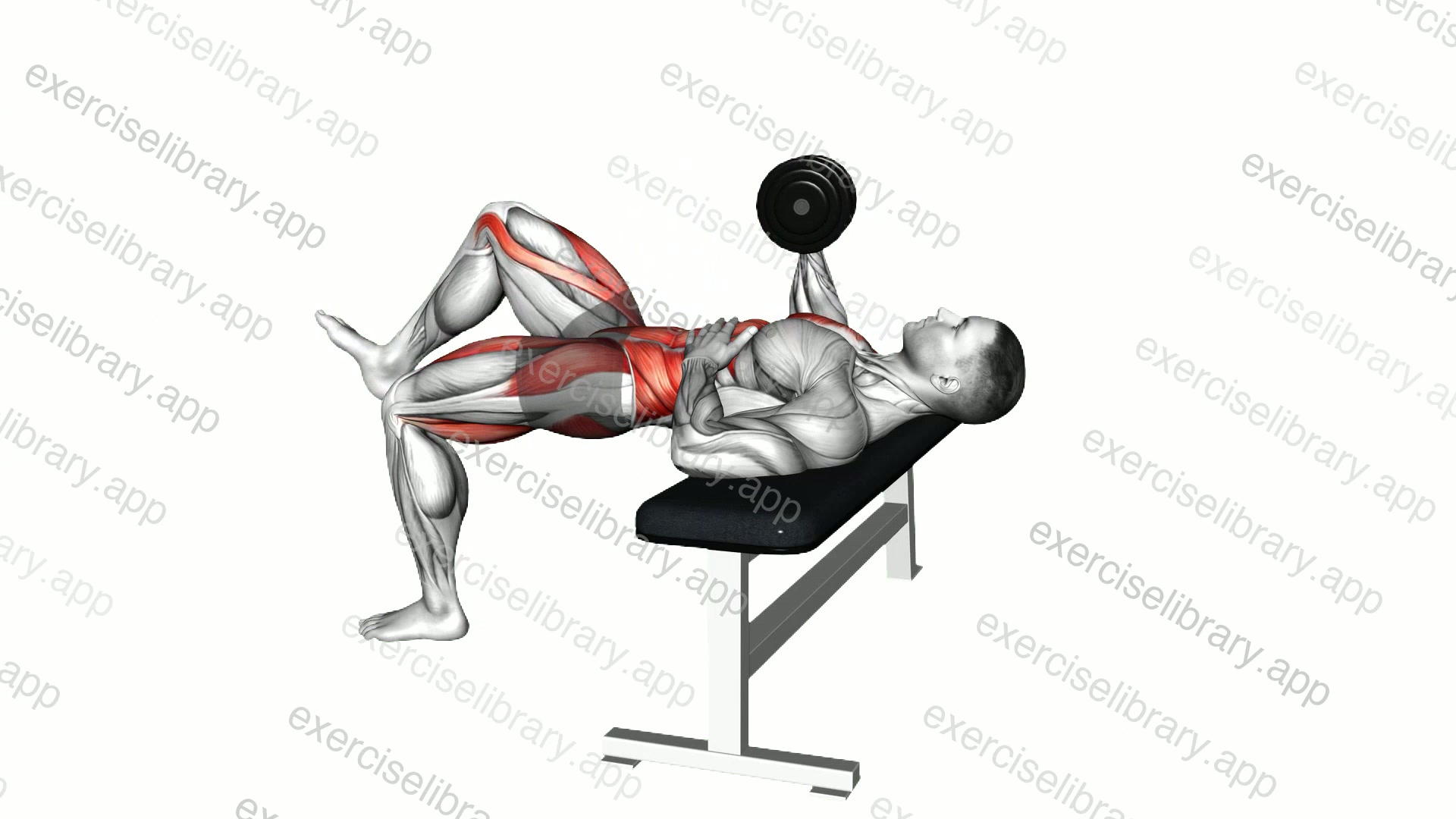 Dumbbell 2 Point Bench Press demonstration