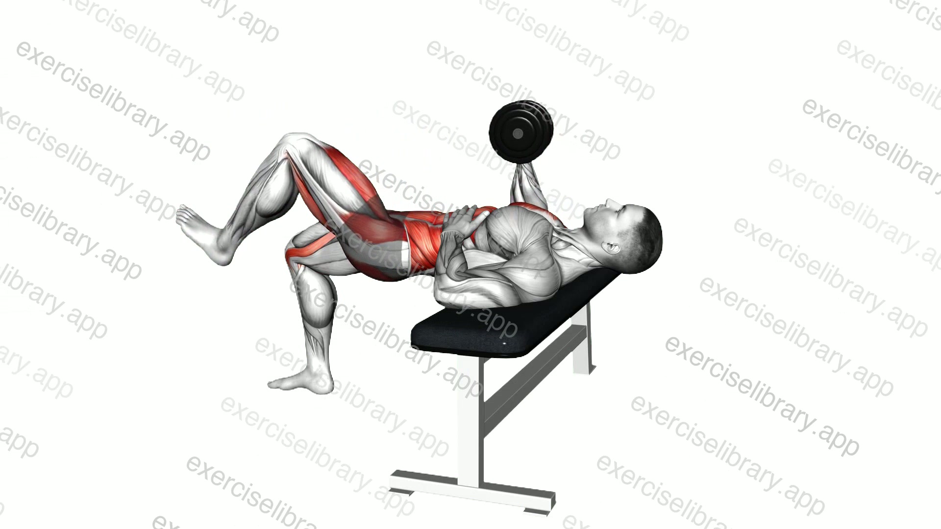 Dumbbell Opposite 2 Point Bench Press demonstration