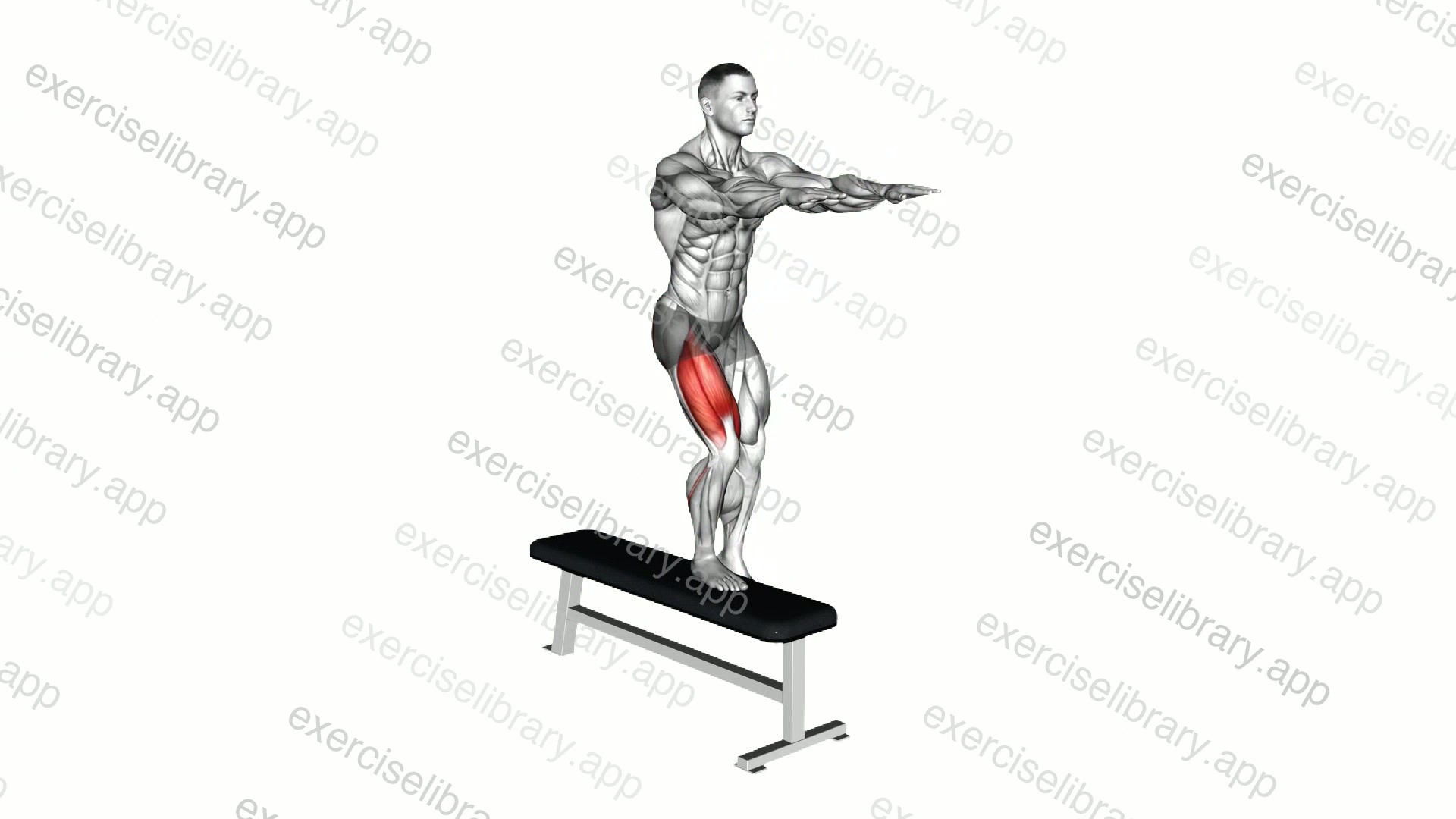 Bodyweight Lateral Step-up demonstration