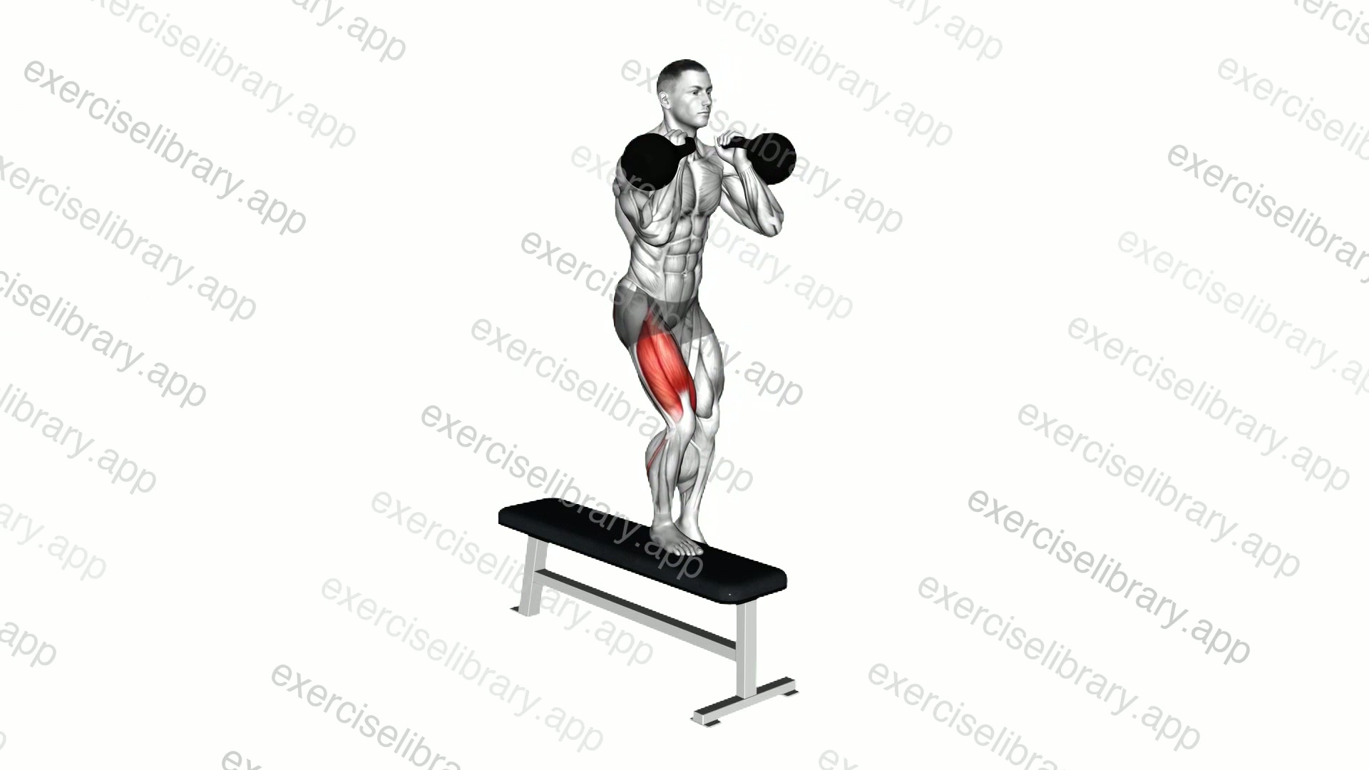 Kettlebell Lateral Step-up demonstration