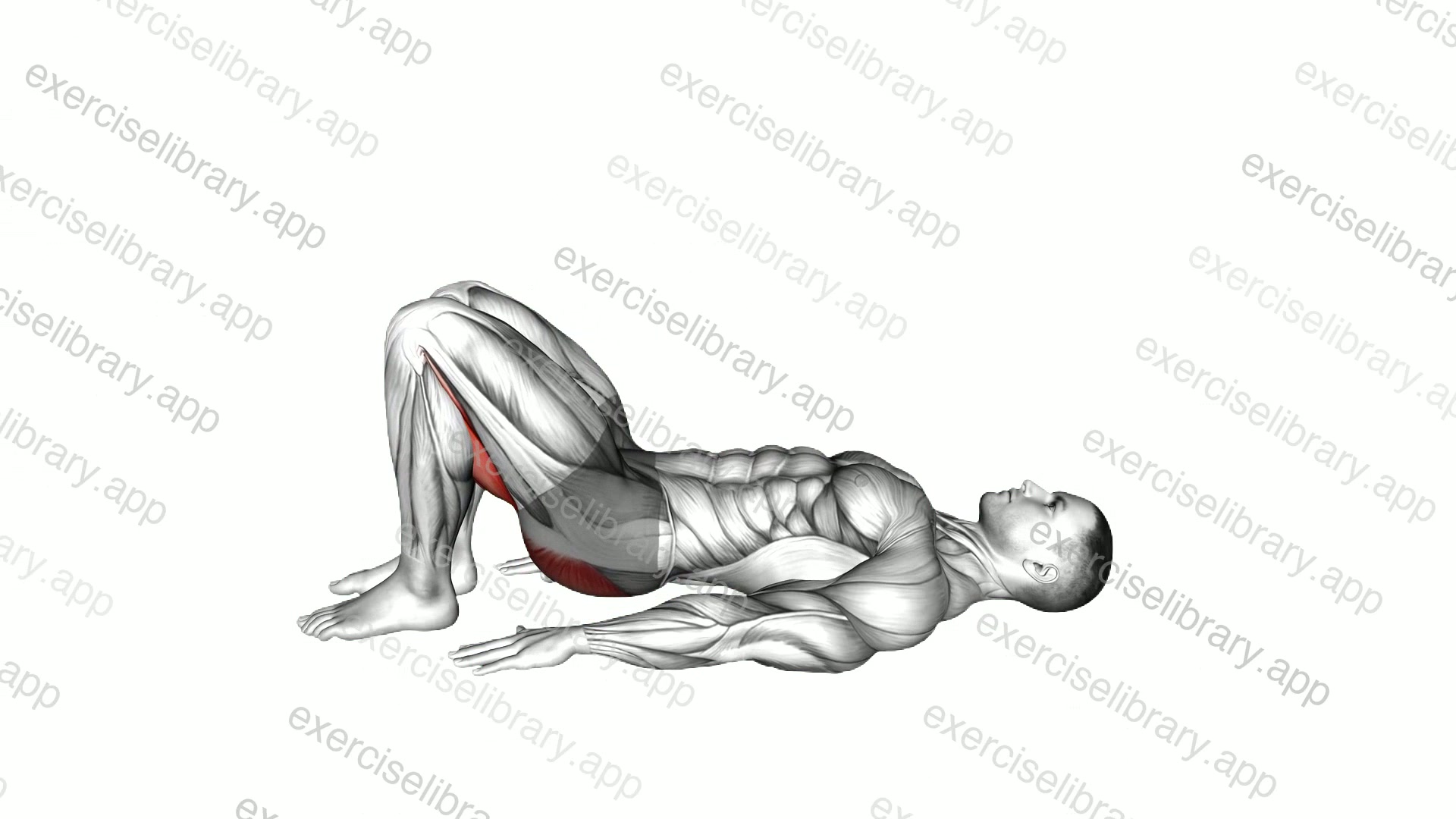 Bridge Yoga Pose Setu Bandha Sarvangasana demonstration