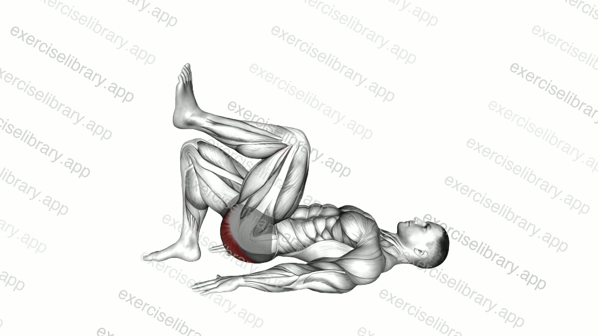 Single Leg Bridge Pose demonstration