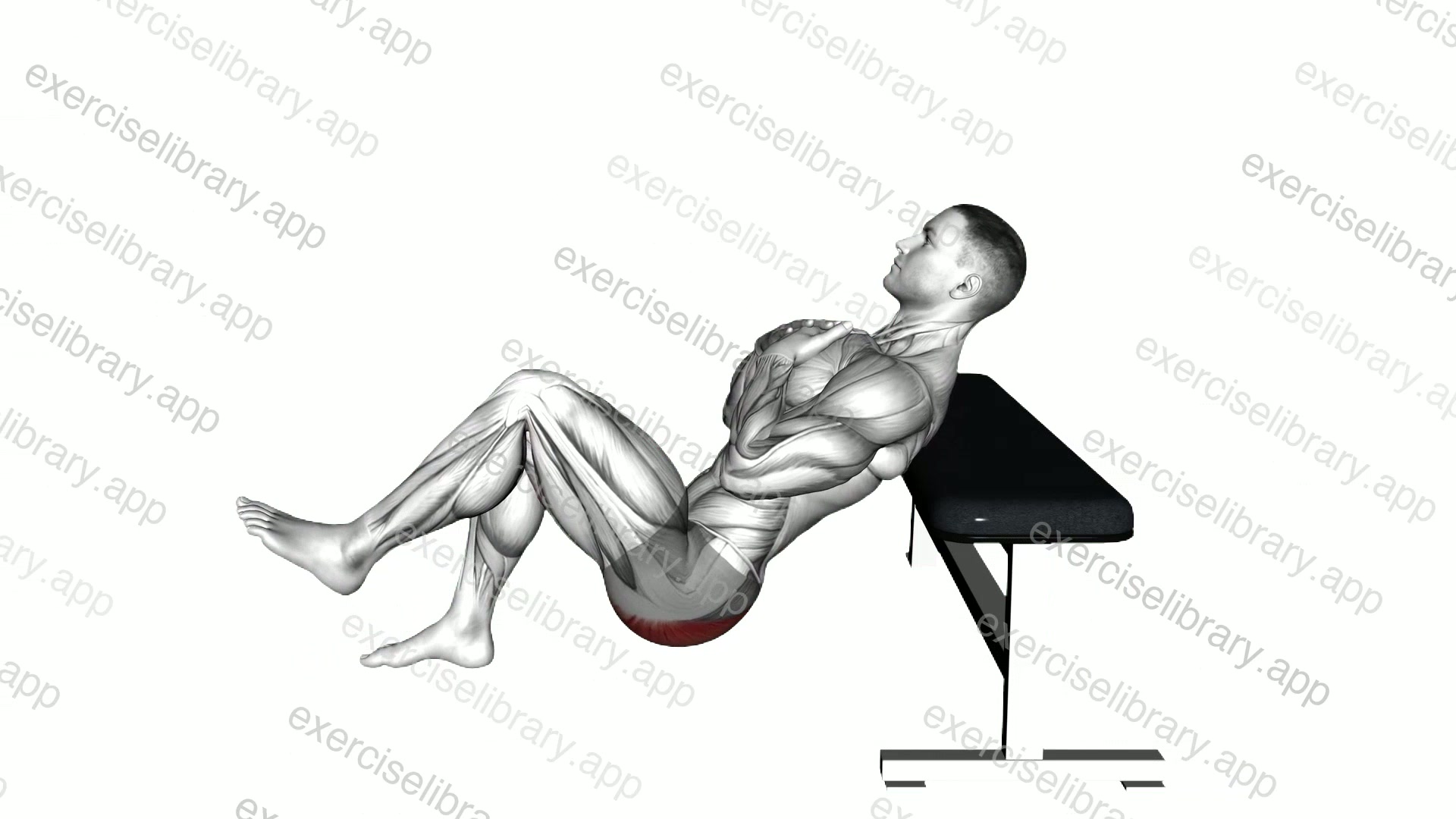 Glute Single Leg Bridge from Bench demonstration