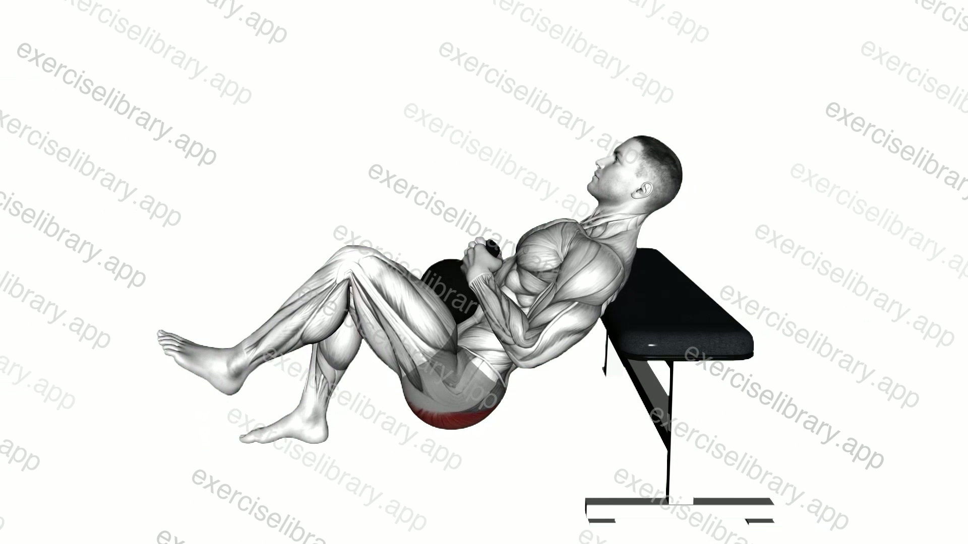 Weighted Kettlebell Glute Single Leg Bridge from Bench demonstration