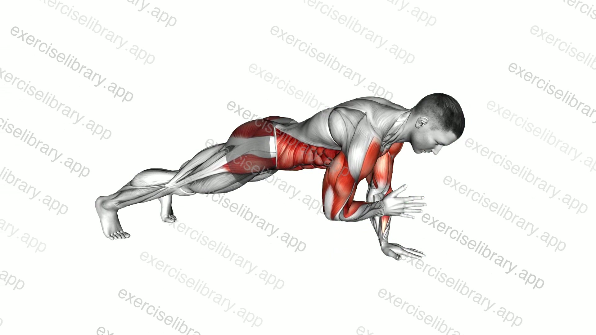 High Plank Shoulder Tap demonstration