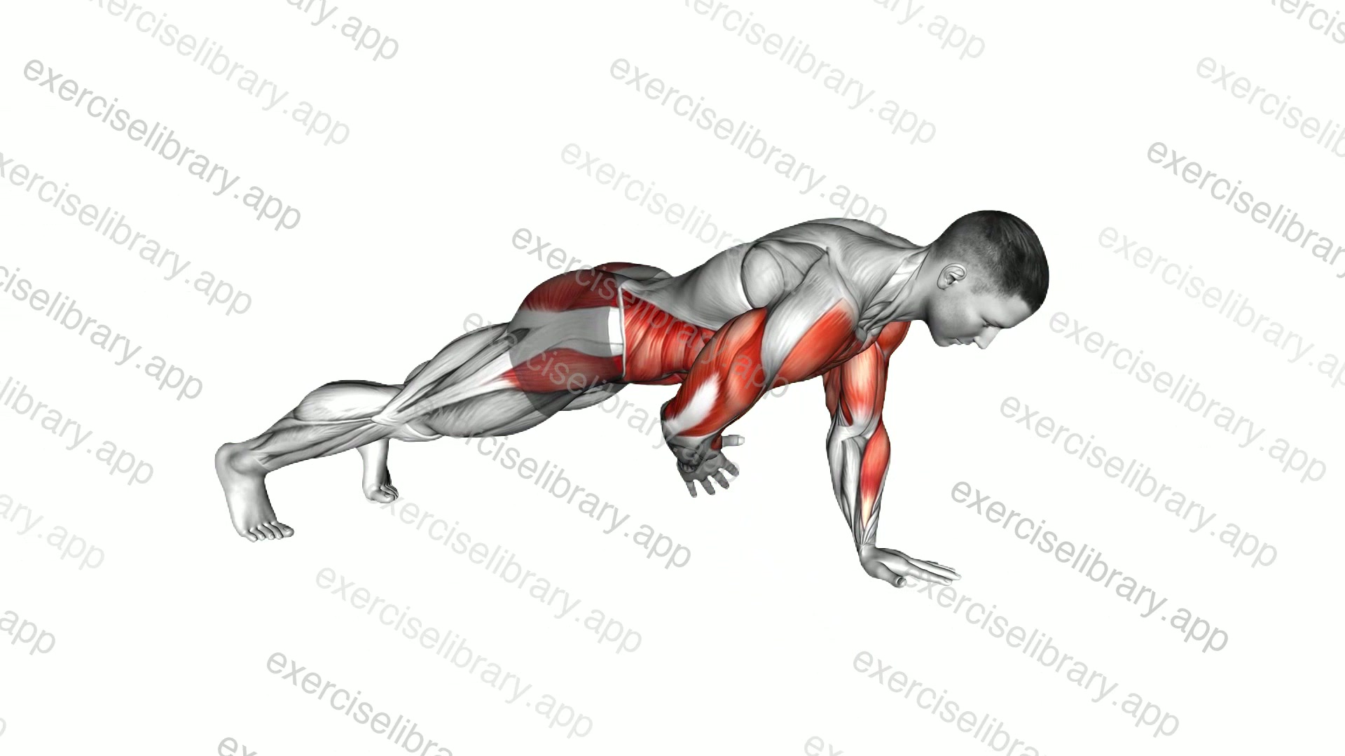 High Plank Hip Tap demonstration